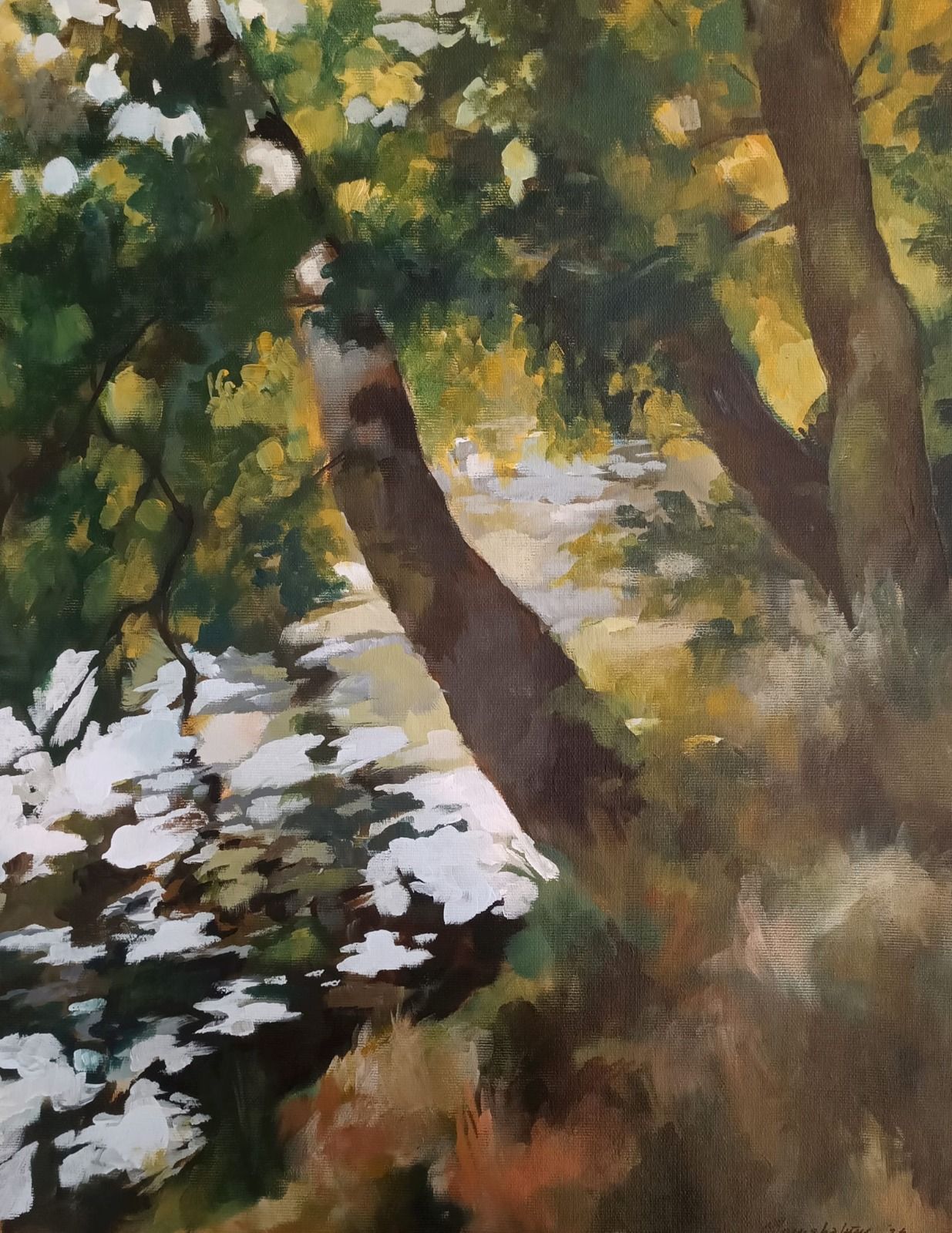 A sun-dappled woodland path winding through dense trees.