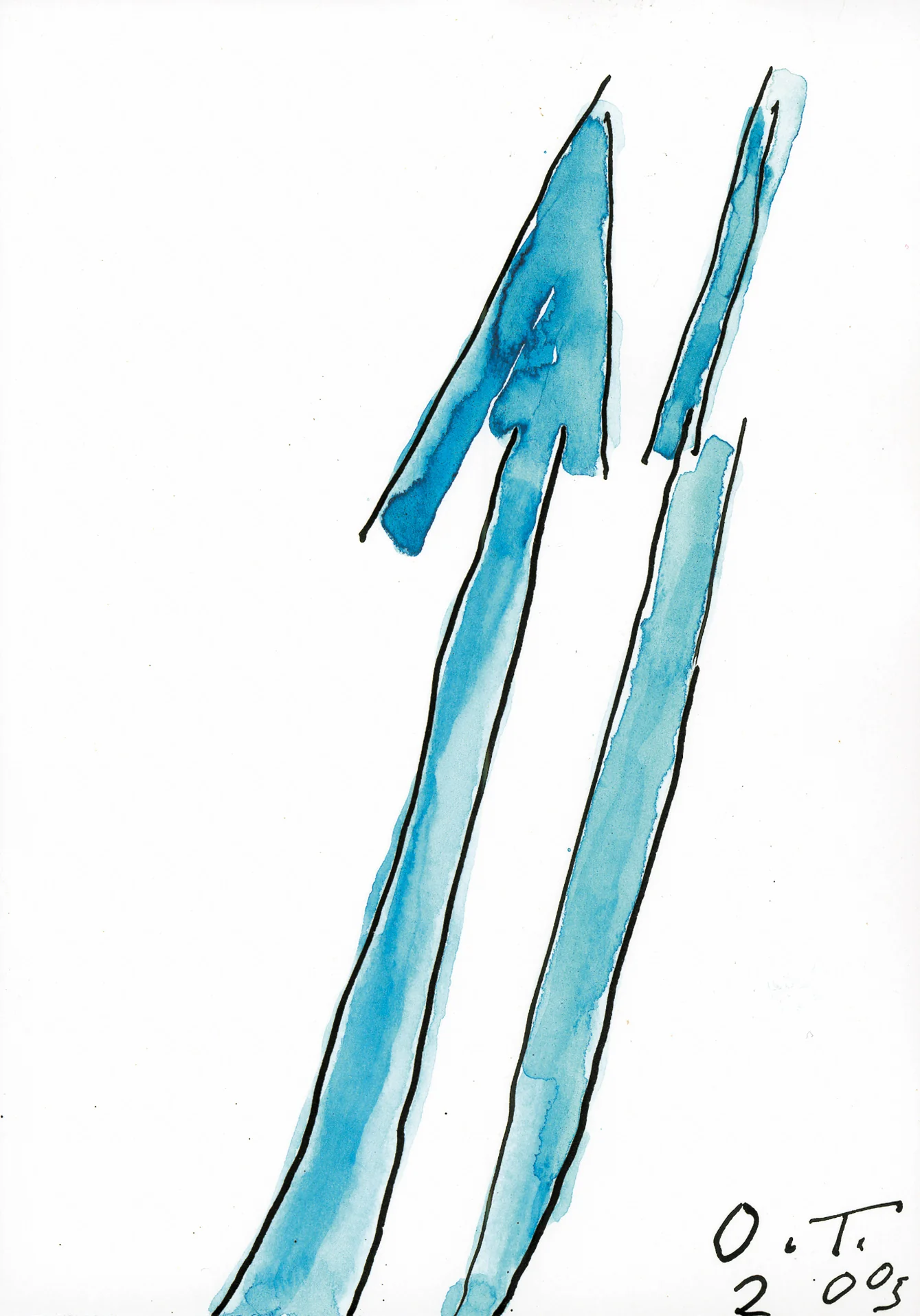 House by Oswald Tschirtner, 2005