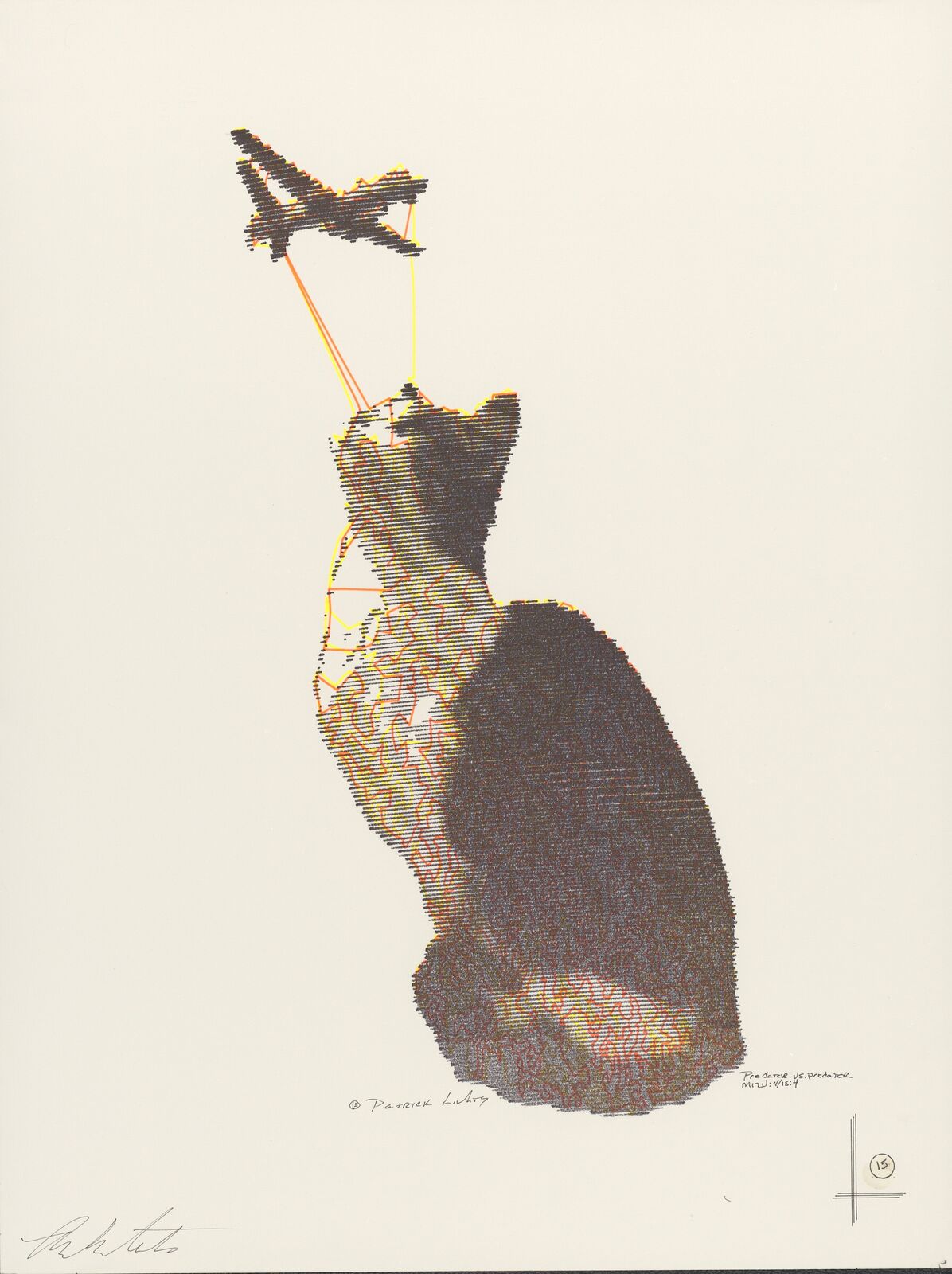 A drawing of a cat with a plane flying above it.