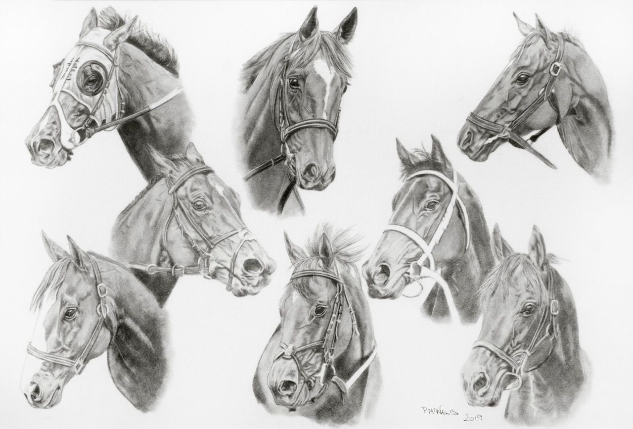 A monochromatic study of eight horse heads in various bridle styles.