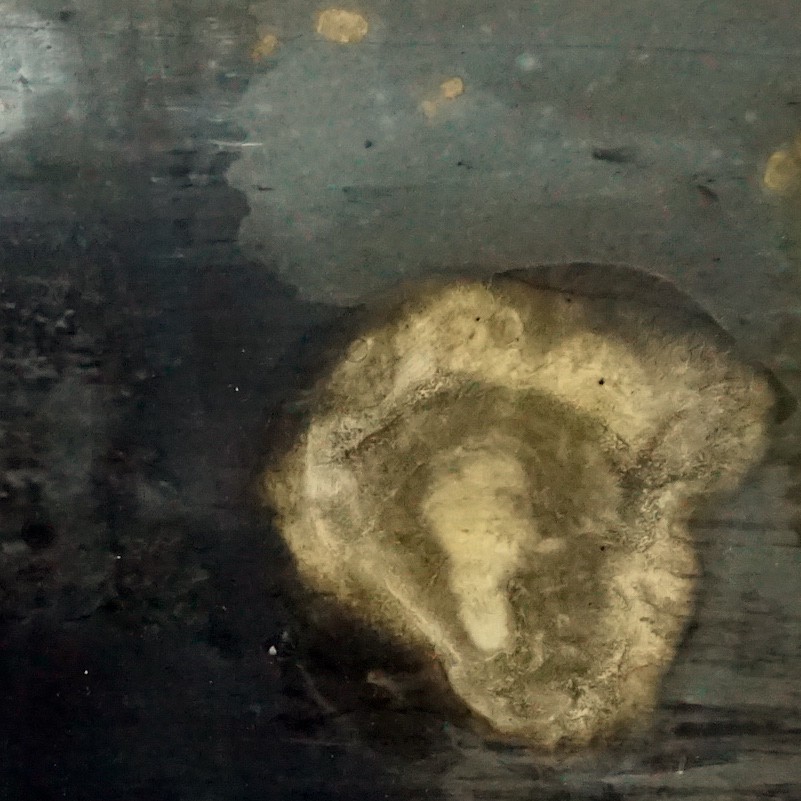 A close-up of a weathered, textured surface featuring a central organic shape.