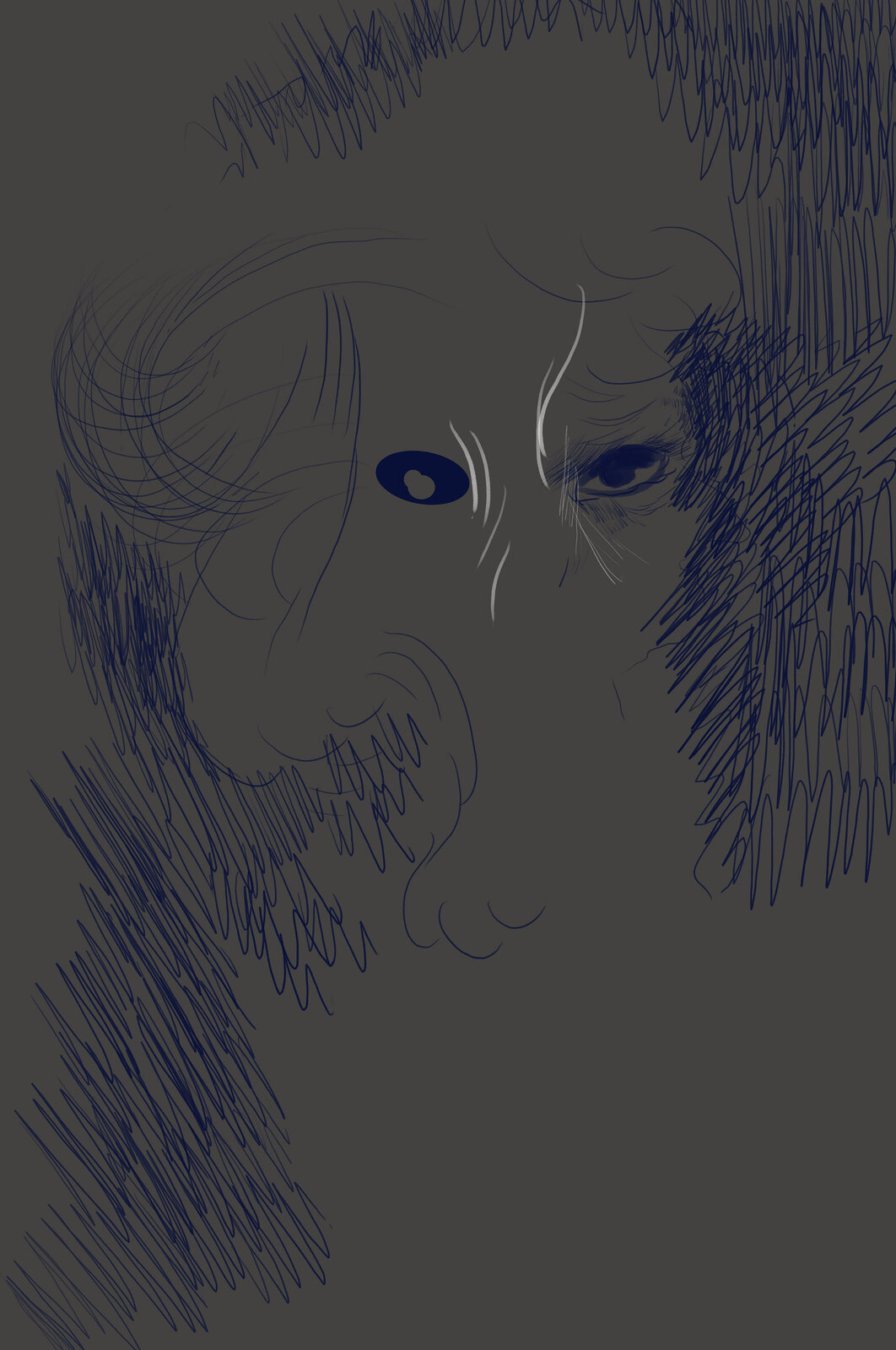 A drawing of a man's face with blue eyes.