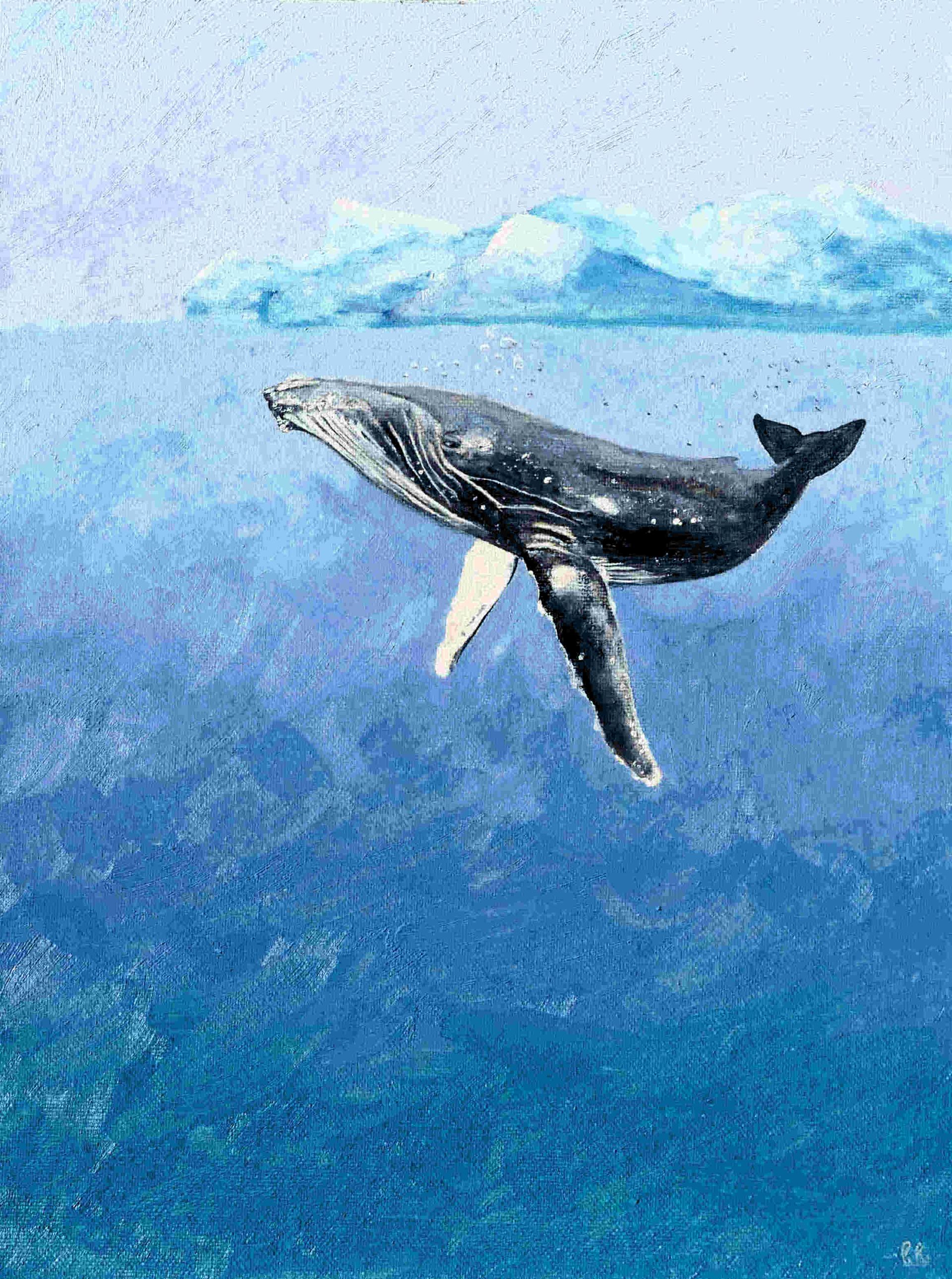 Cool Humpback by Paul Rodhouse, 20th century