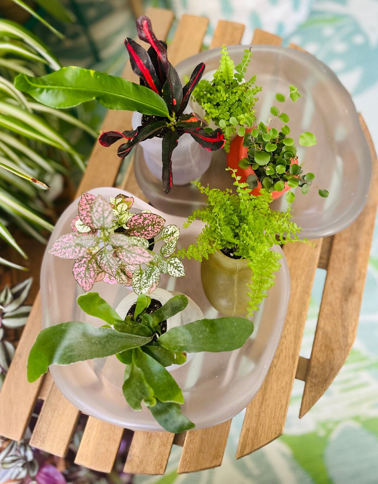 Artwork by Paula Hayes, Six mini silicone planters and two trays, Made of Planters: Cast silicone, Trays: Cast resin 