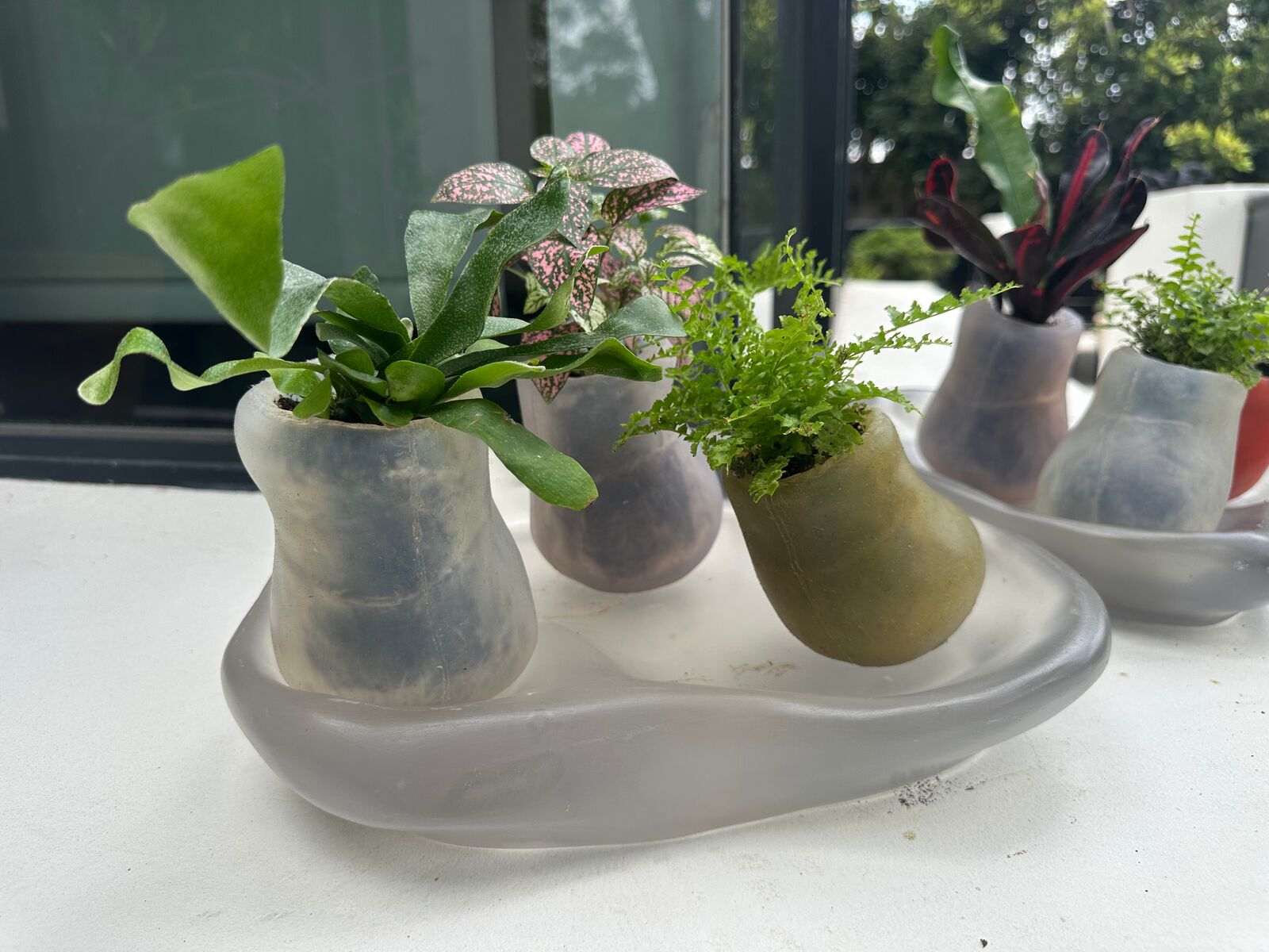 Artwork by Paula Hayes, Six mini silicone planters and two trays, Made of Planters: Cast silicone, Trays: Cast resin 