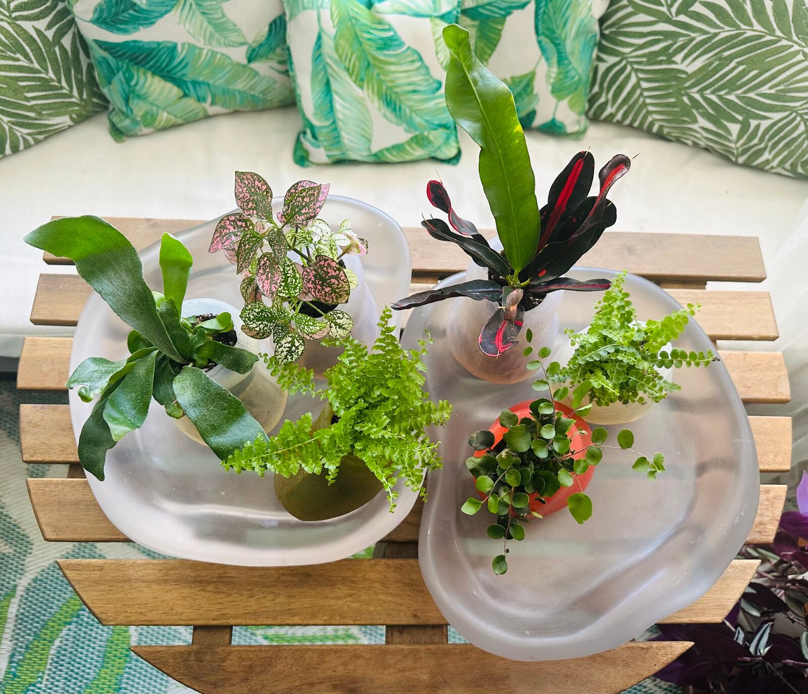 Artwork by Paula Hayes, Six mini silicone planters and two trays, Made of Planters: Cast silicone, Trays: Cast resin 