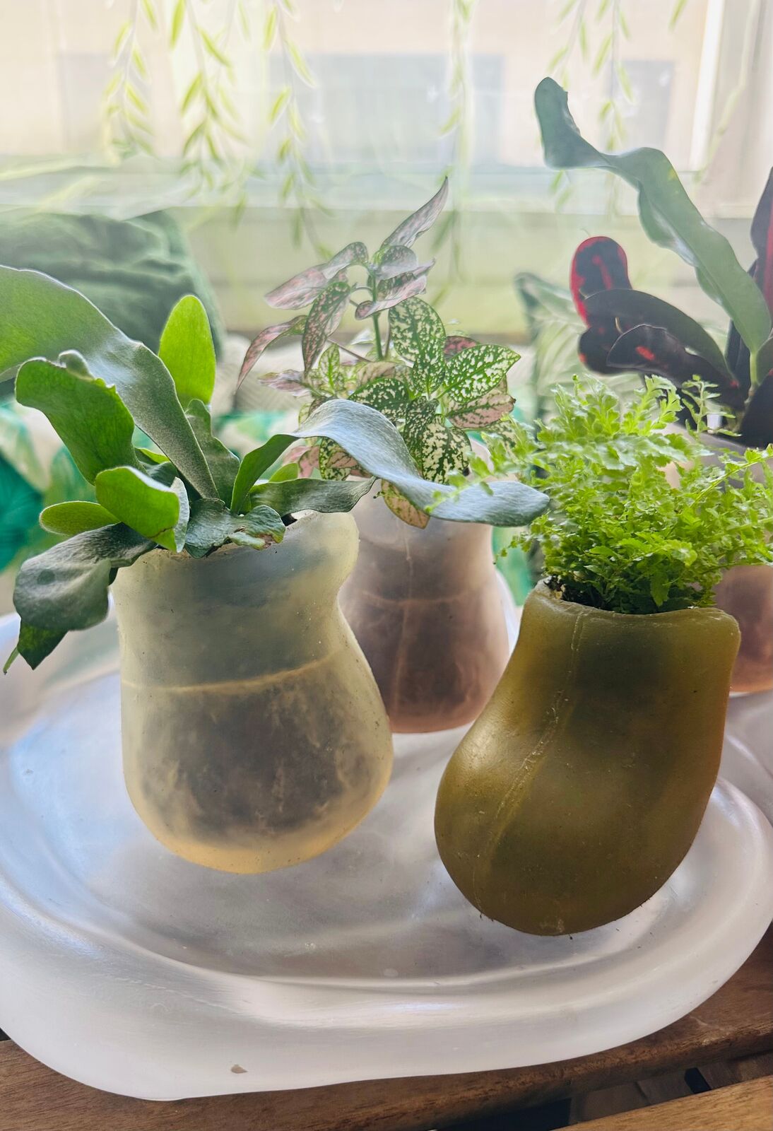 Artwork by Paula Hayes, Six mini silicone planters and two trays, Made of Planters: Cast silicone, Trays: Cast resin 