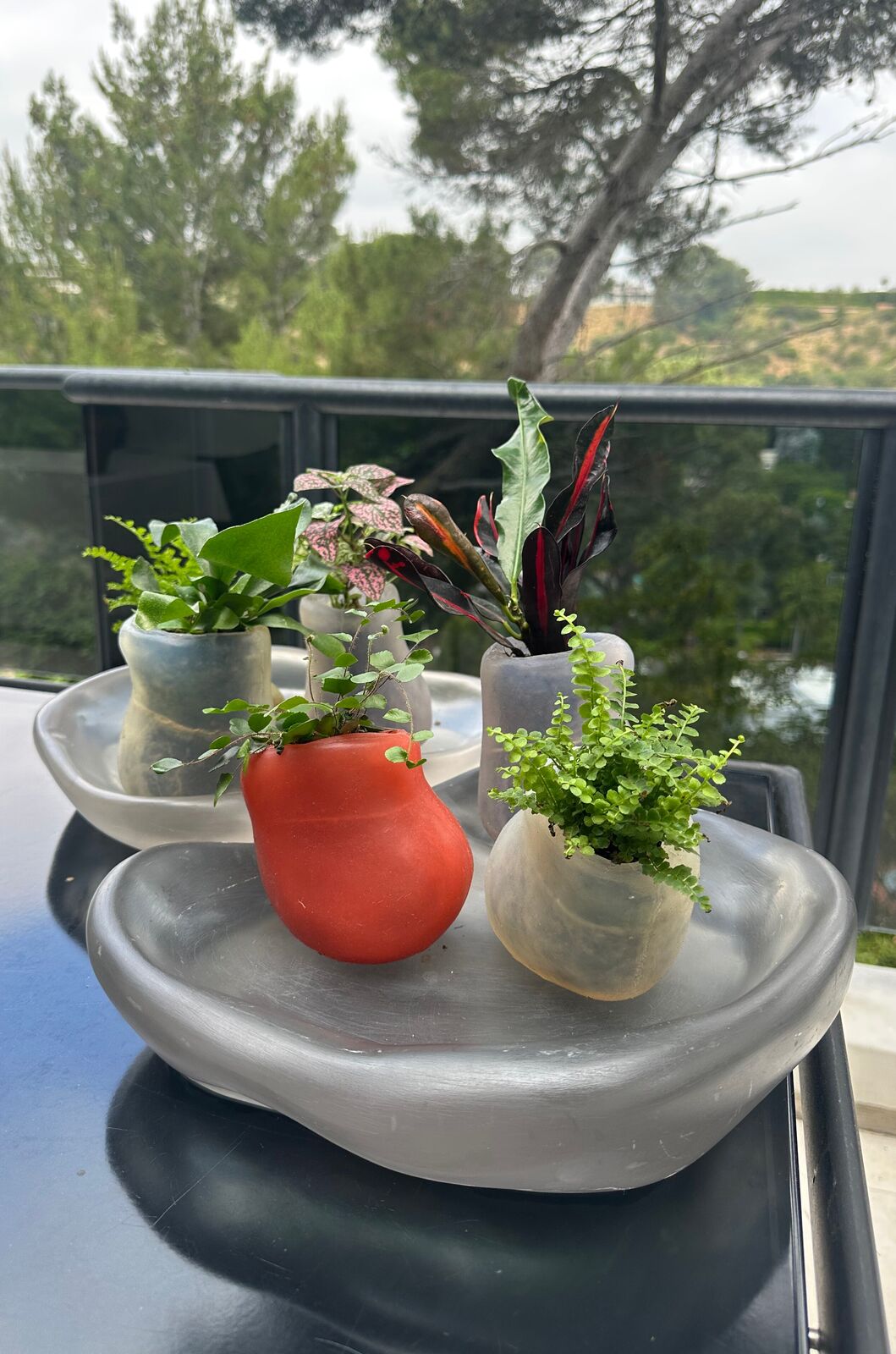 Artwork by Paula Hayes, Six mini silicone planters and two trays, Made of Planters: Cast silicone, Trays: Cast resin 