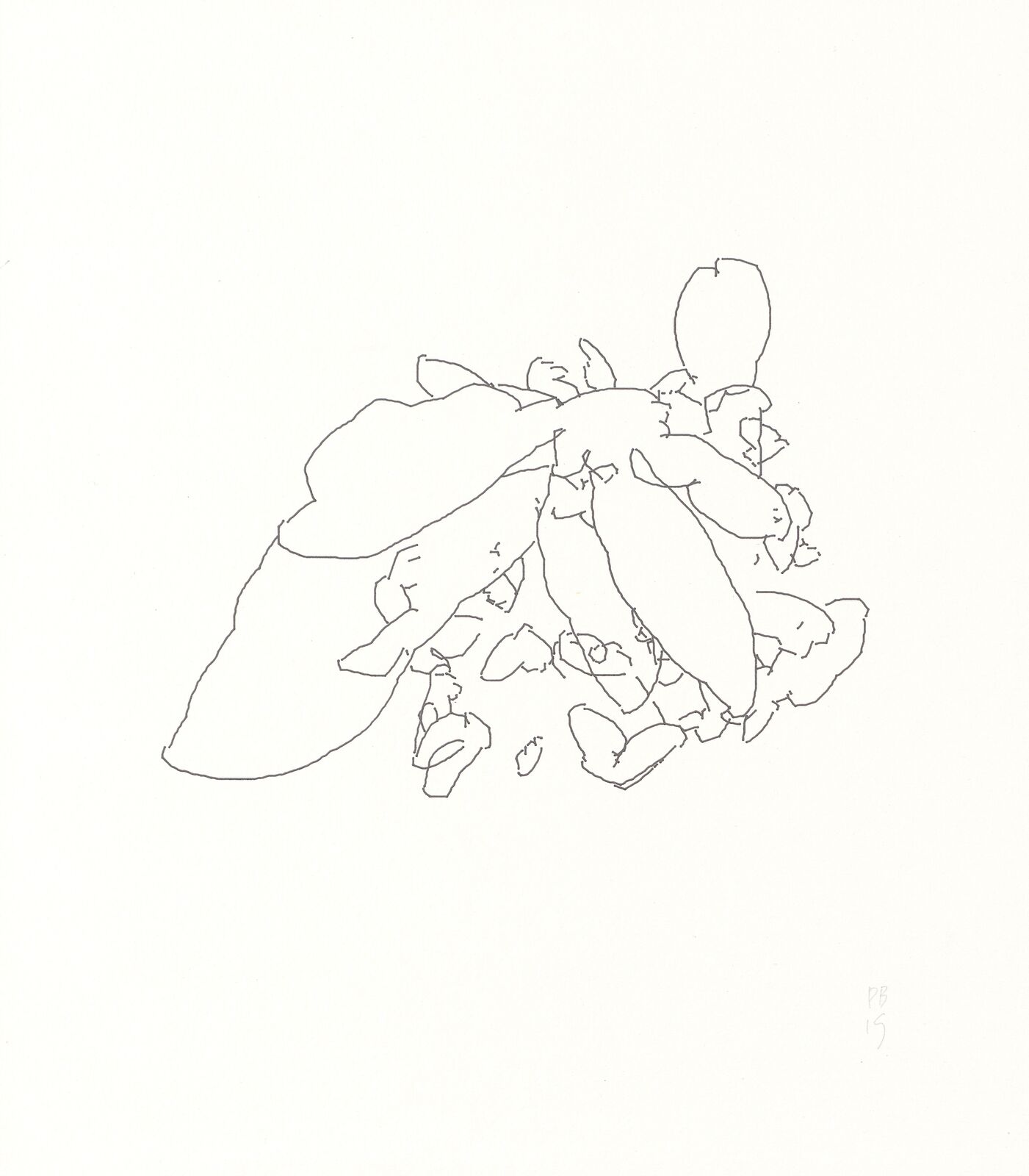 Untitled by Peter Beyls, 2019