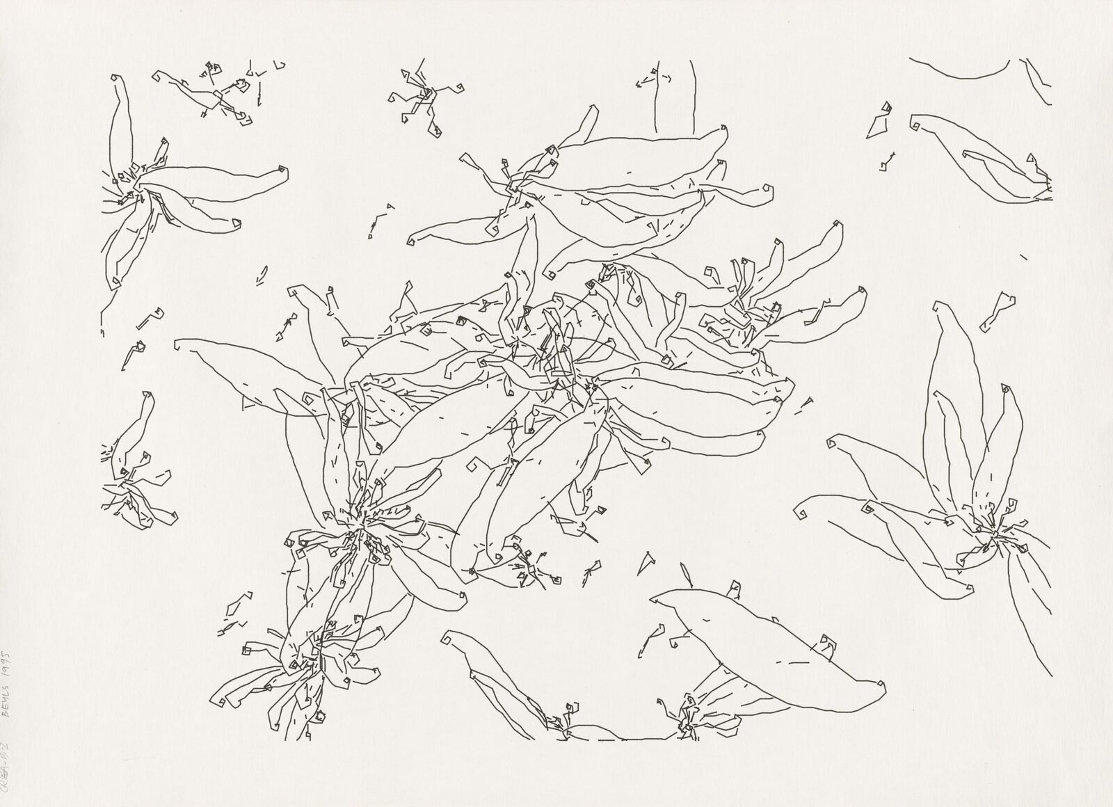 A black and white drawing of a bunch of flowers.