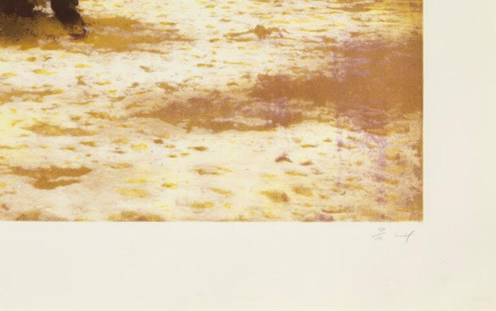 A horse grazing in a field of water. 