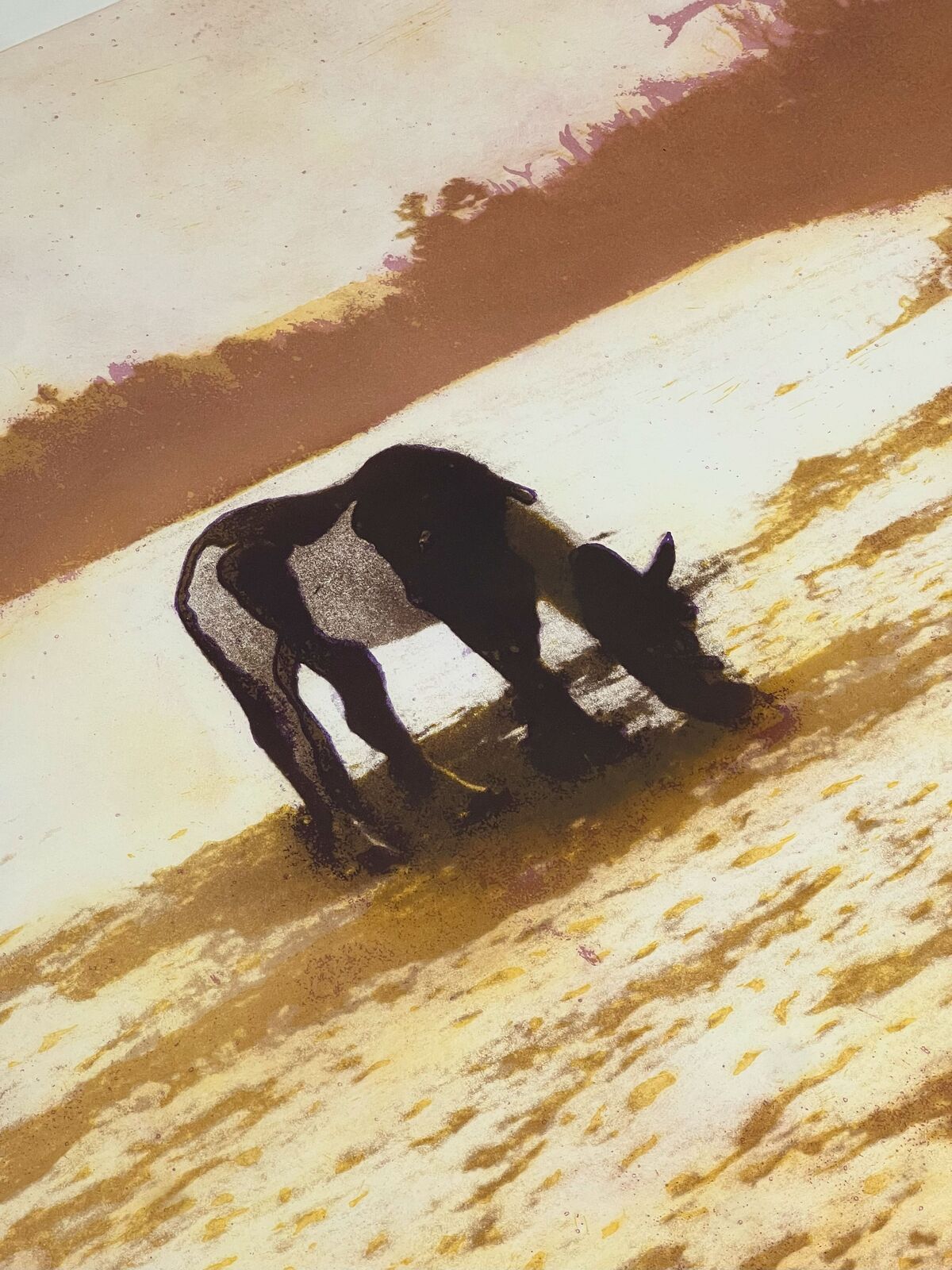 Artwork by Peter Doig, Pinto, from: 100 Years ago, Made of Etching in colours, on wove paper 
