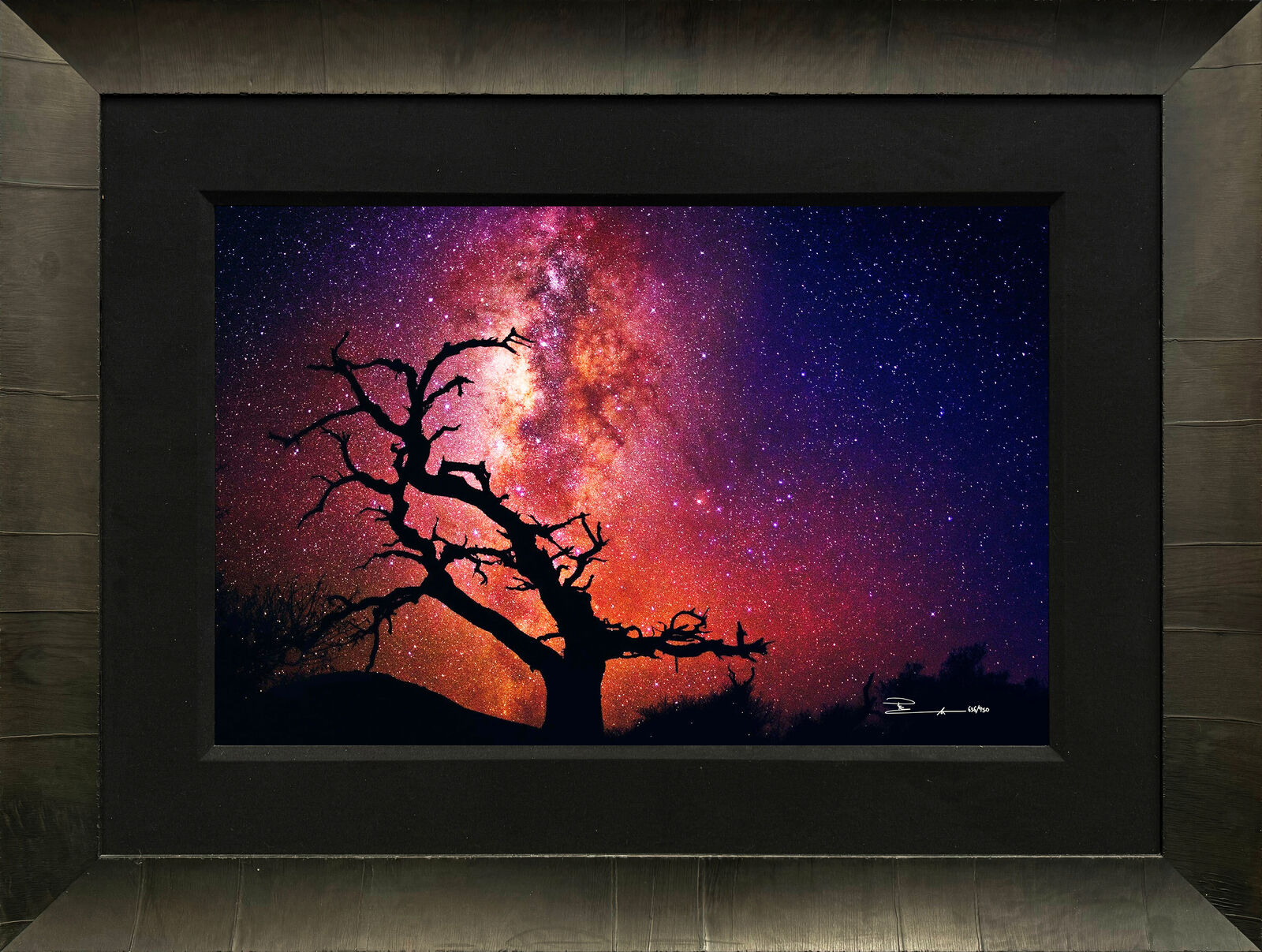 Artwork by Peter Lik, Tree Of The Universe , Made of Silver halide fuji archive print mounted on plexi 