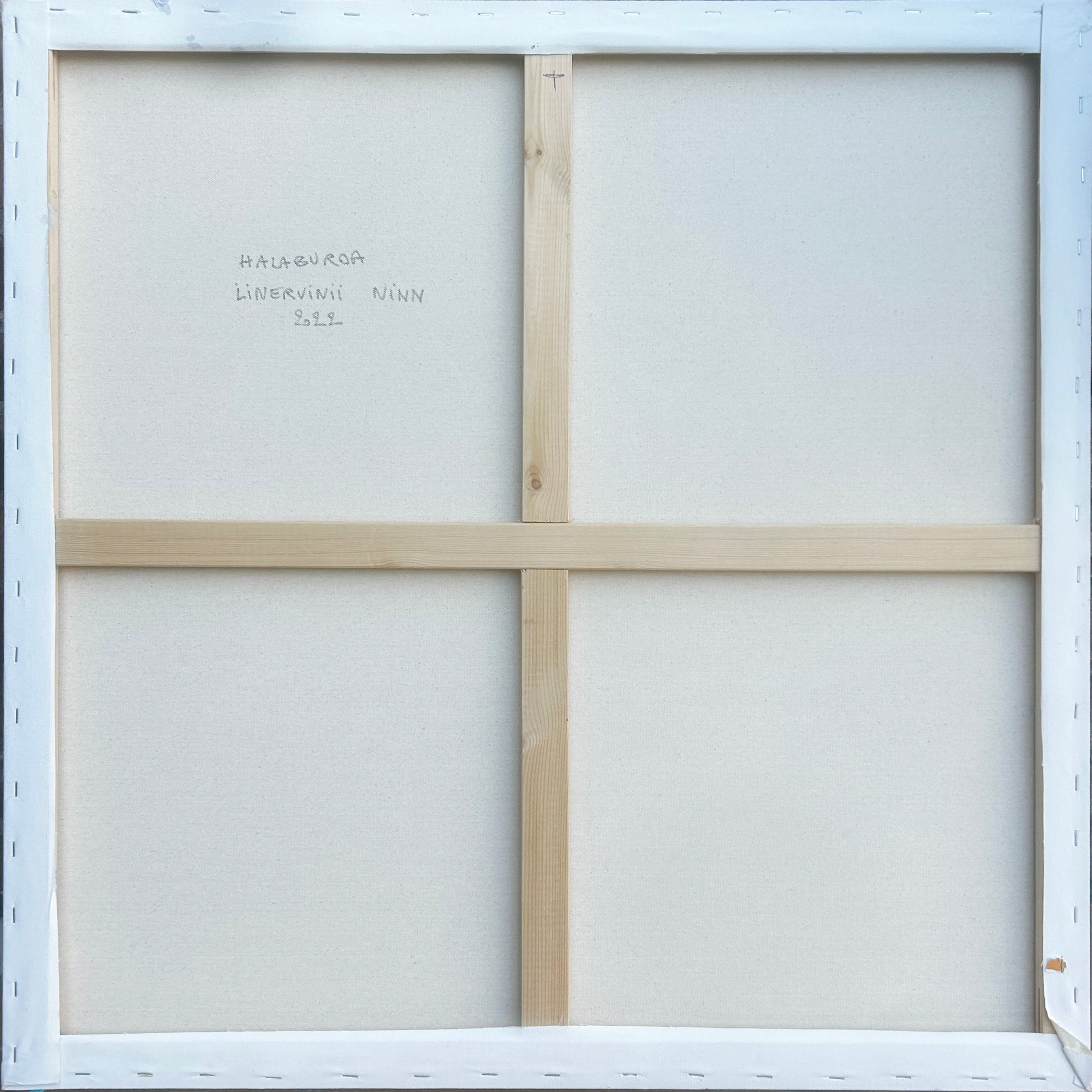 Artwork by Philippe Halaburda, linervinii Ninn, Made of Acrylic and color tape on canvas 