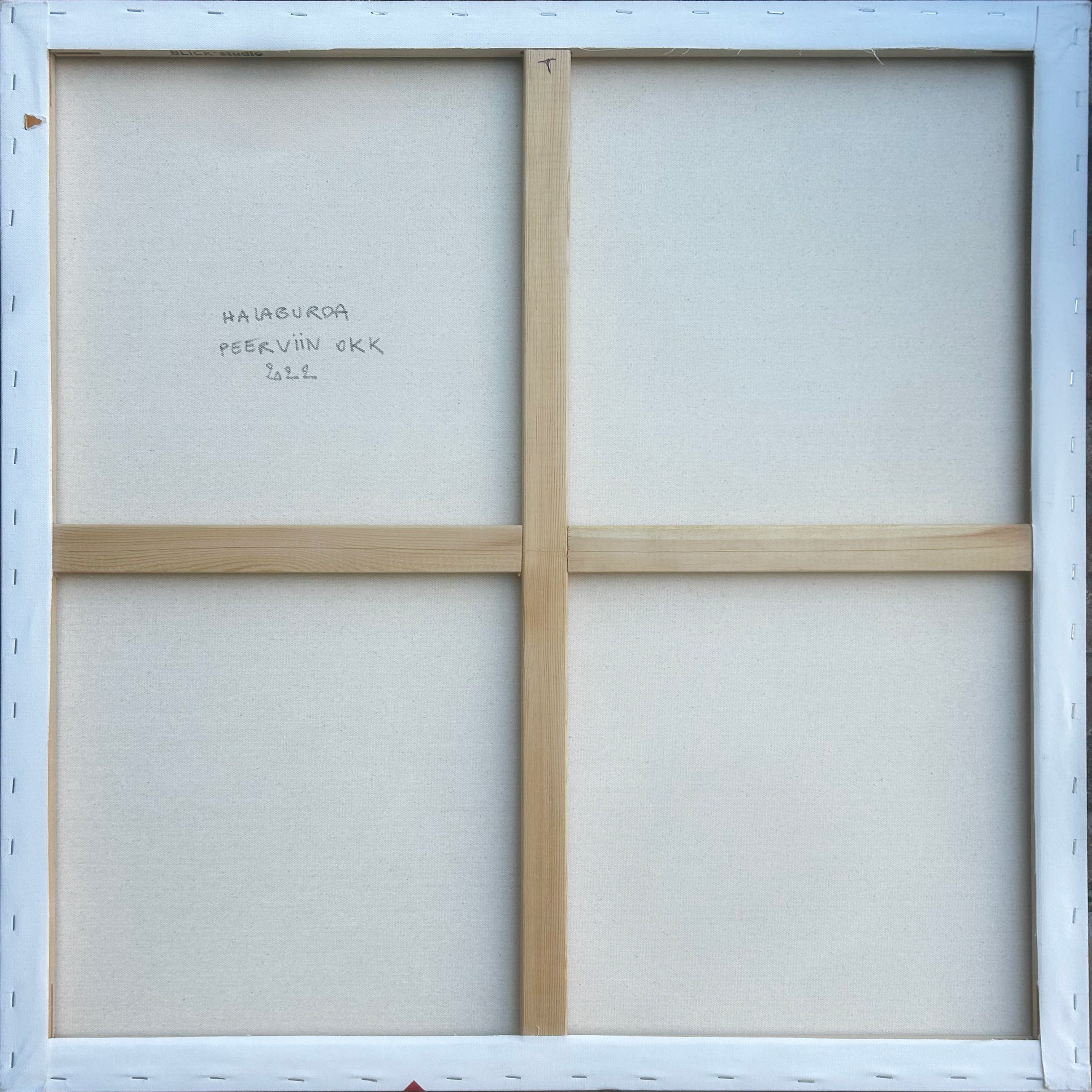 Artwork by Philippe Halaburda, Peerviin Okk, Made of Acrylic and color tape on canvas 