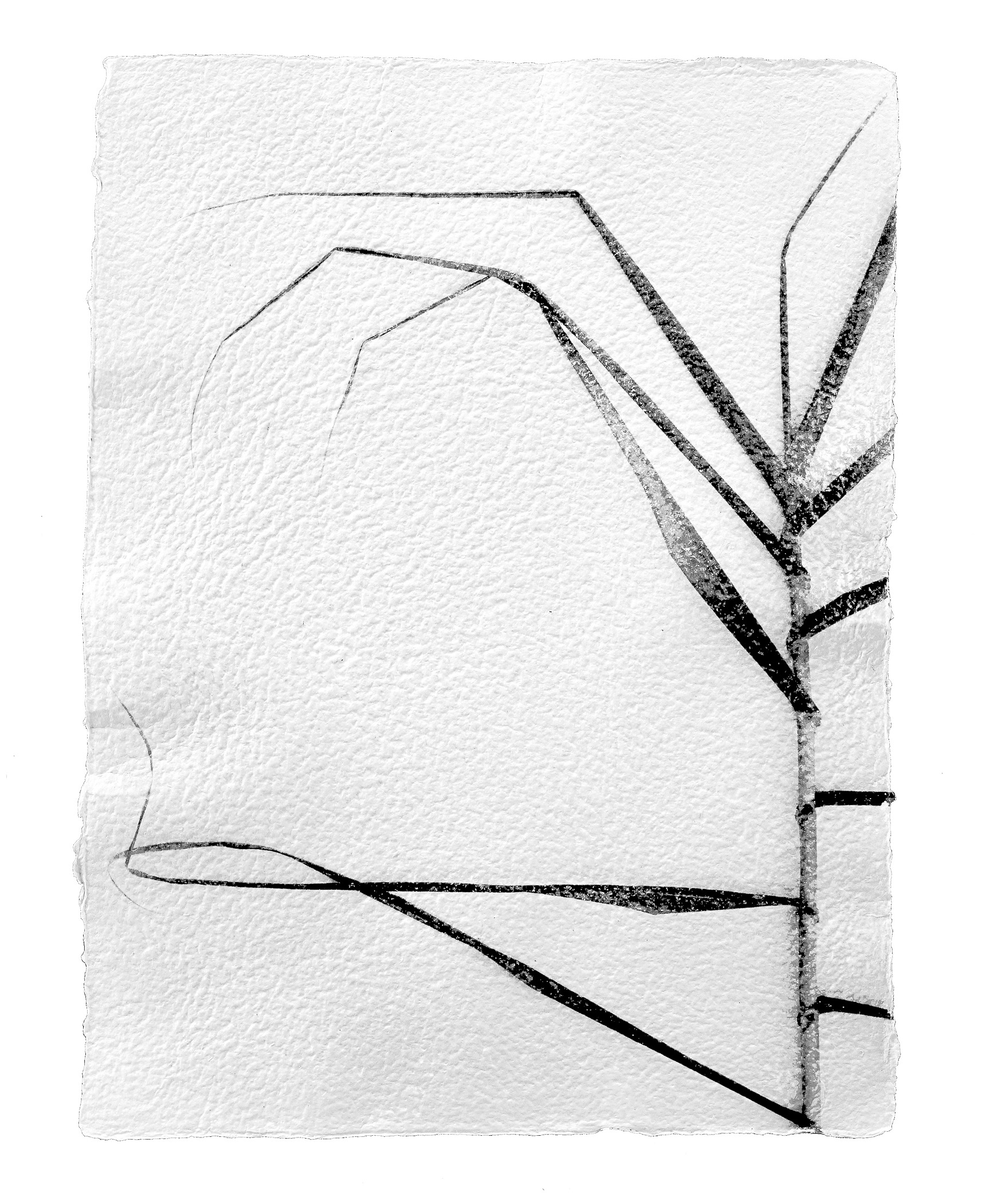 A black and white drawing of a tree branch.