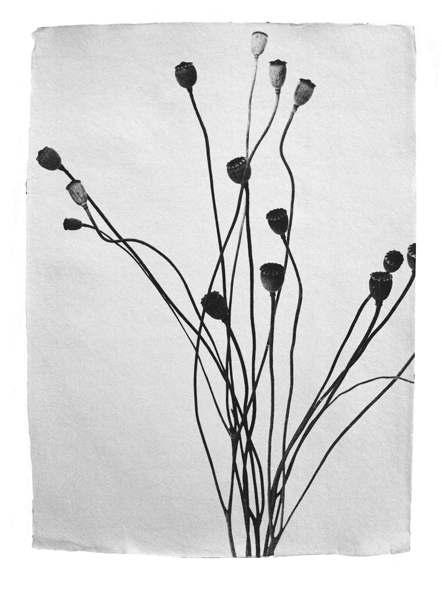 A black and white drawing of a bunch of flowers.