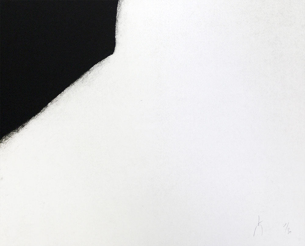 A black and white painting on a white wall.