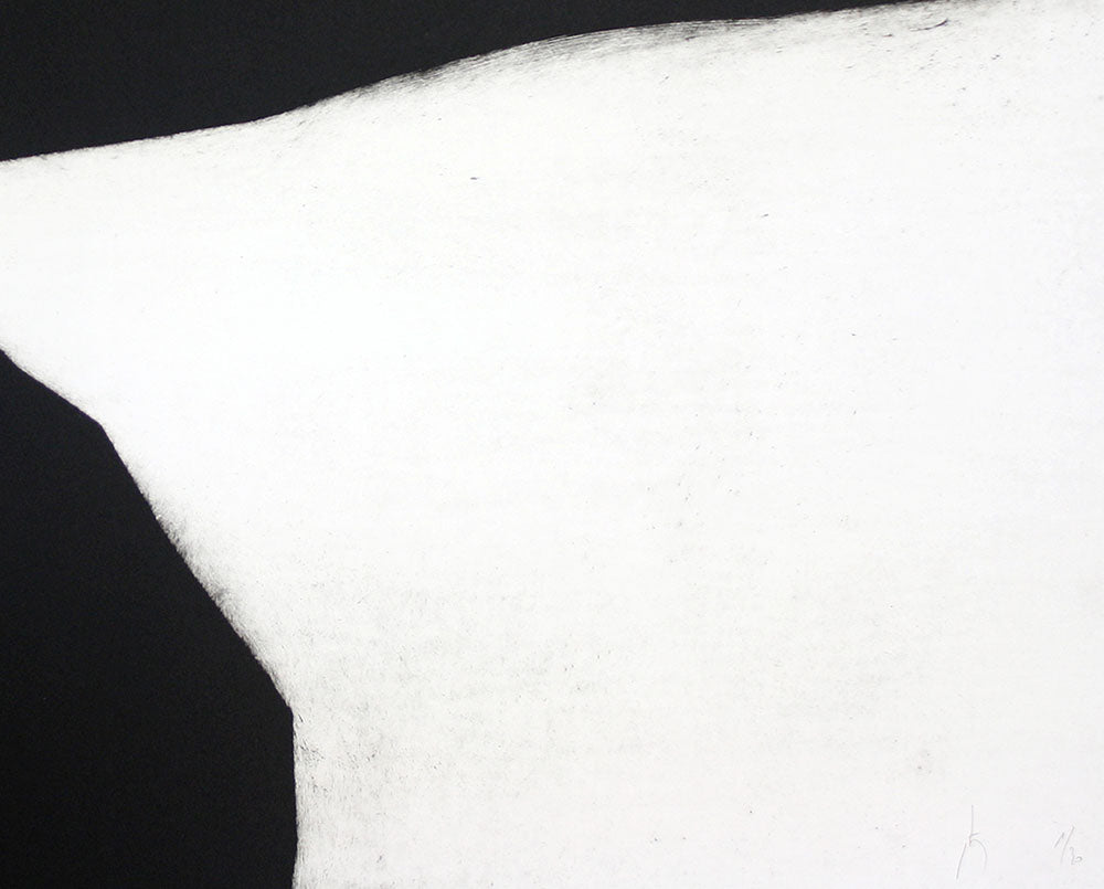 A black and white painting on a white wall.