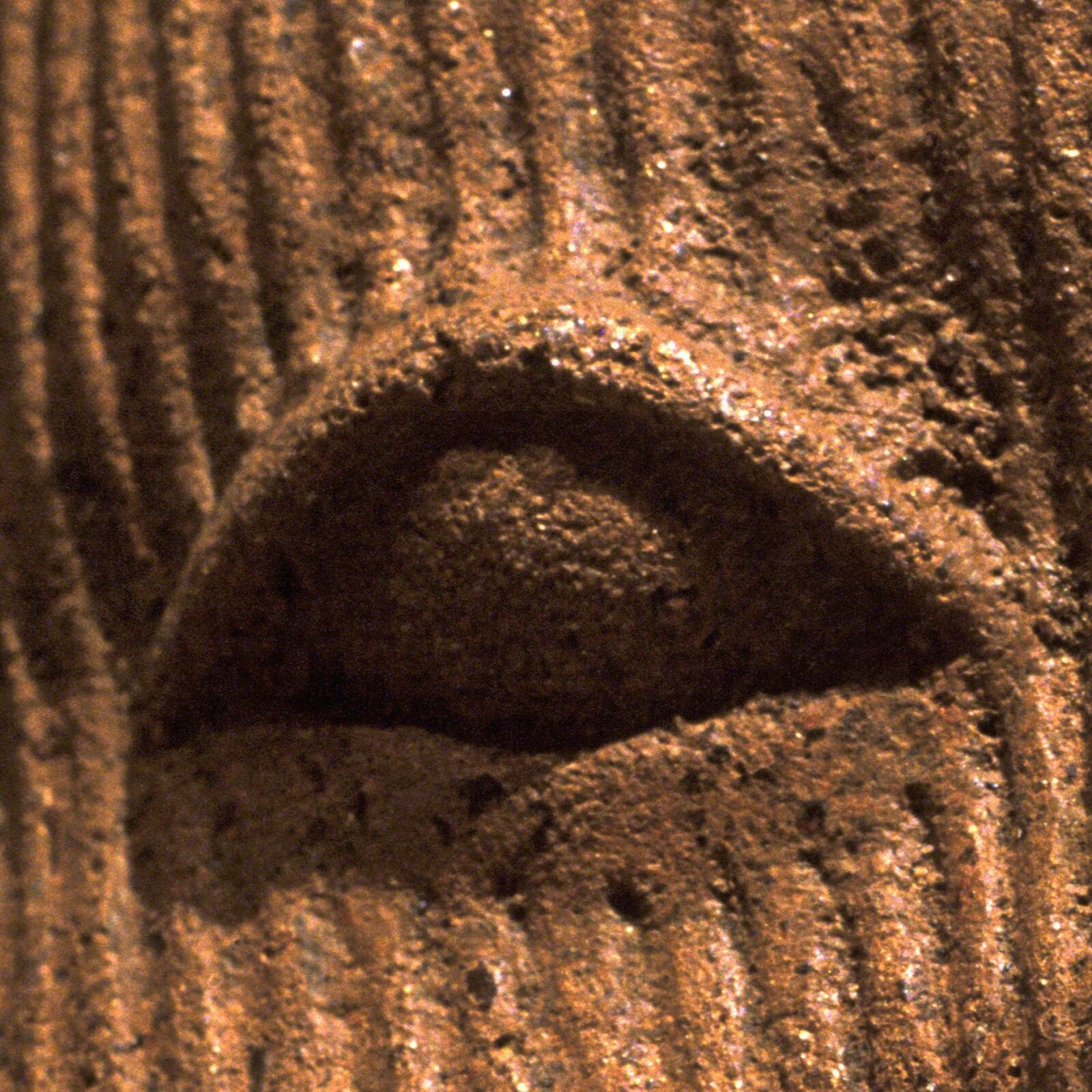 Artwork by Pierre Sernet, F019, Nigerian, Terracotta, Made of Giclee print on archival paper 