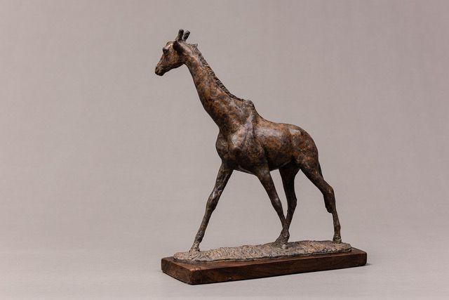 Giraffe by Priscilla Hann, null