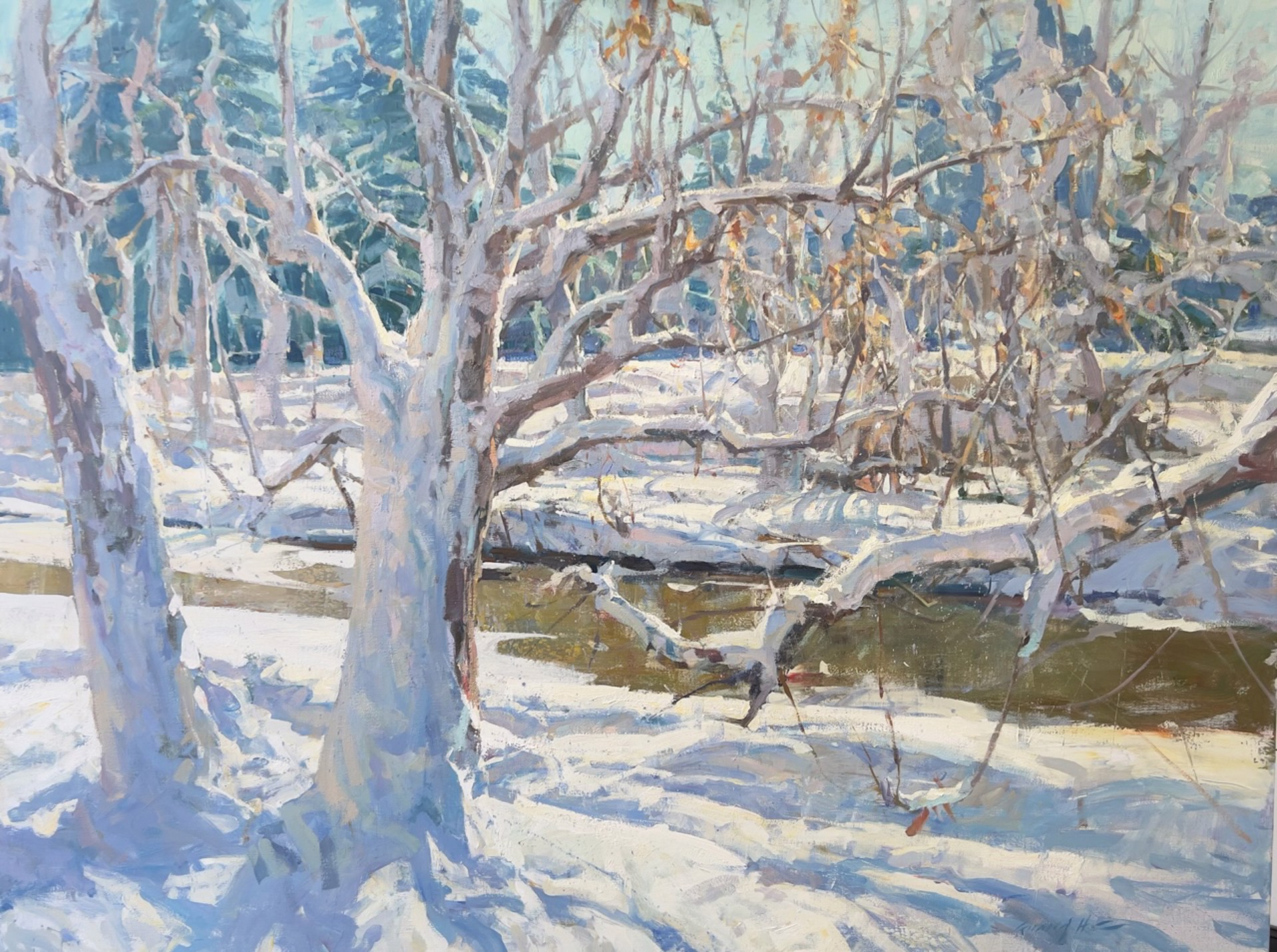 Along the Cherry Creek by Quang Ho, 2024