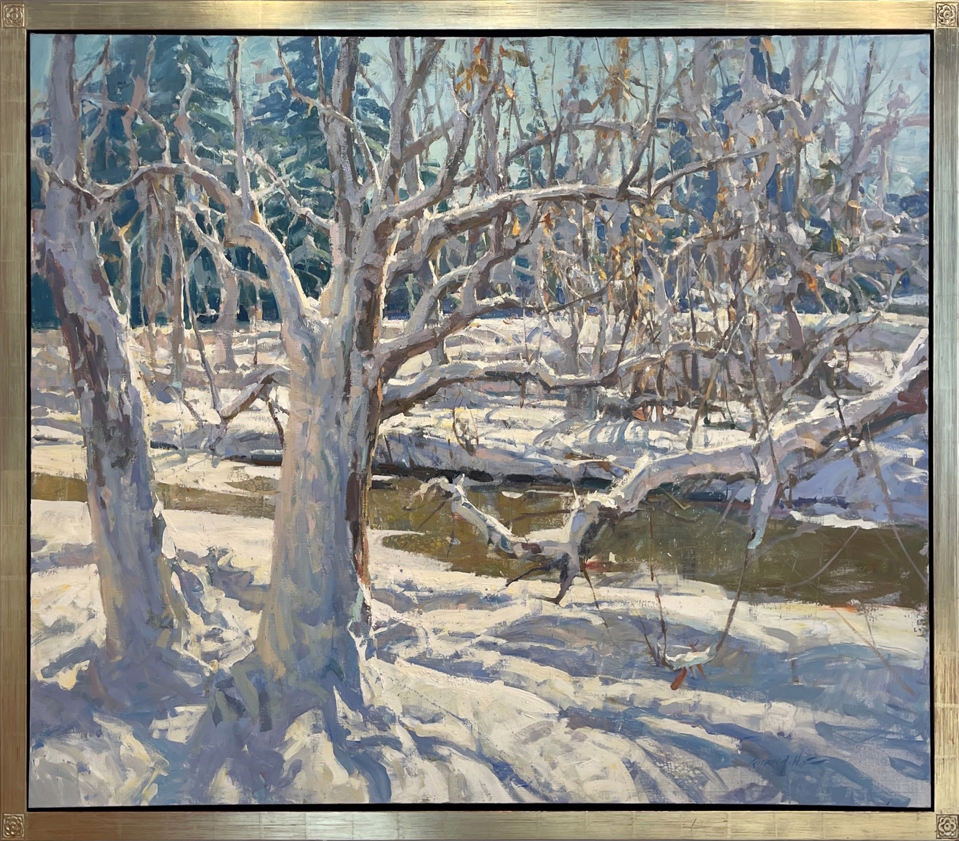 Along the Cherry Creek