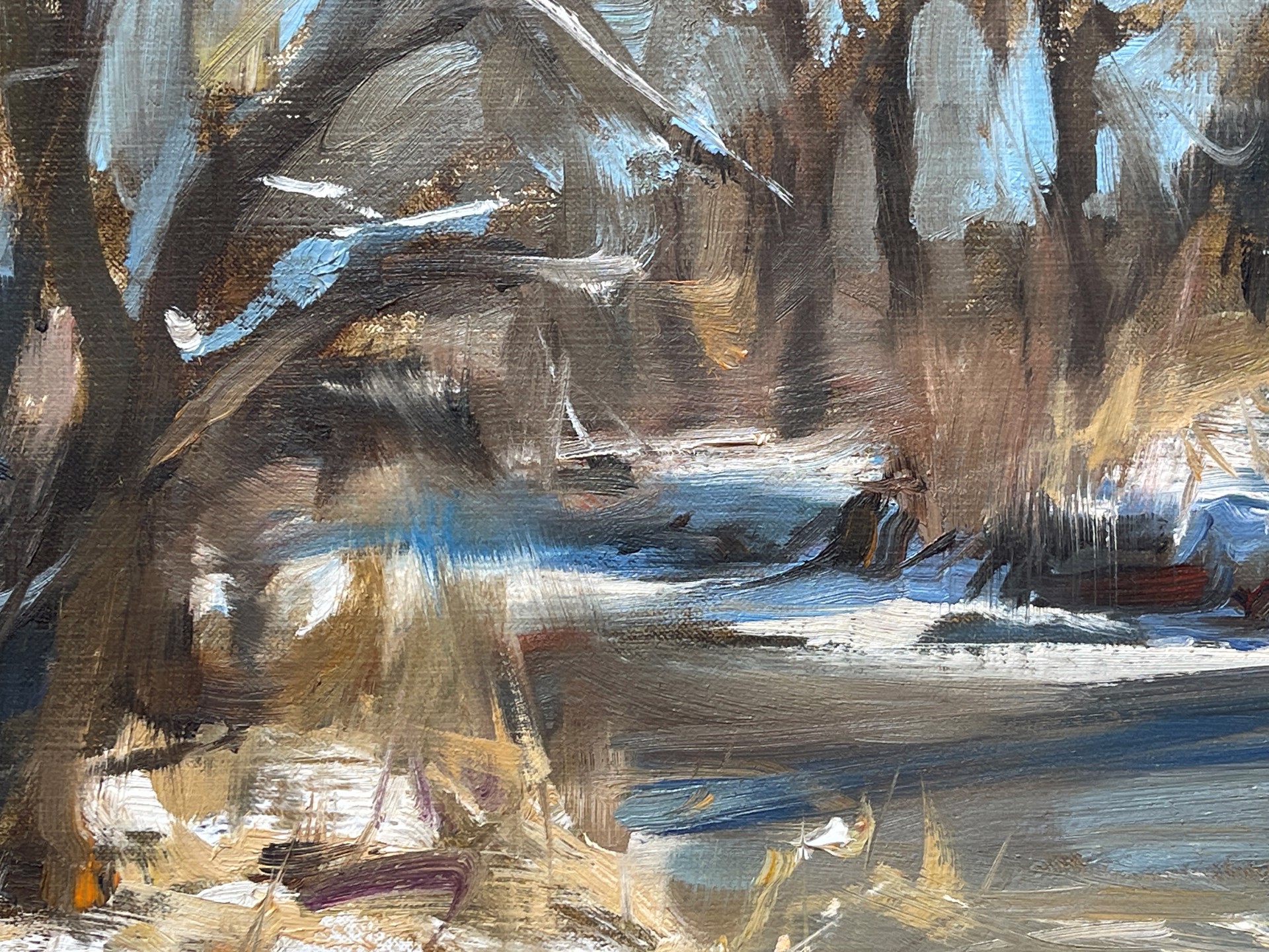 Cherry Creek in January