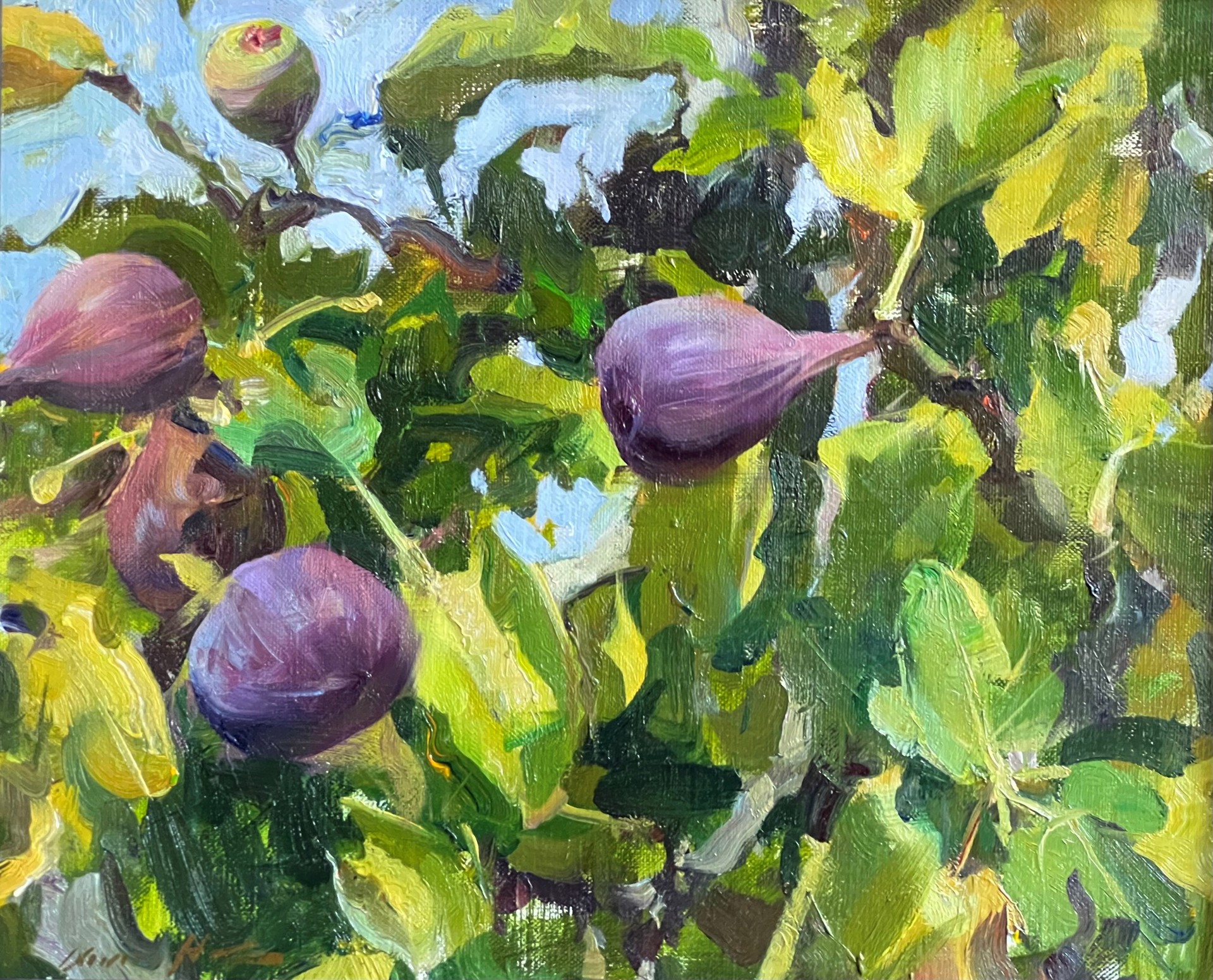 Figs