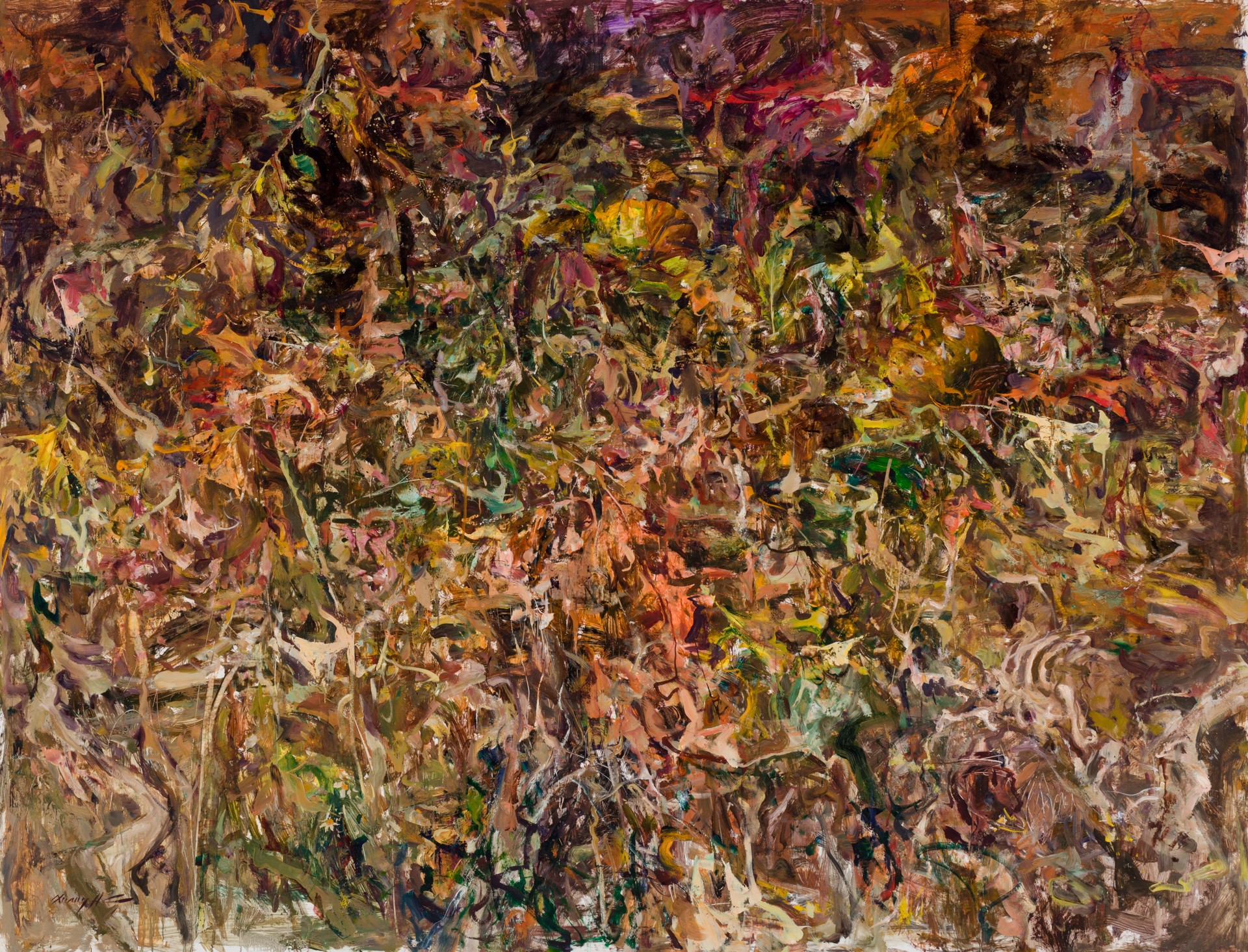 Forest Floor in Late October