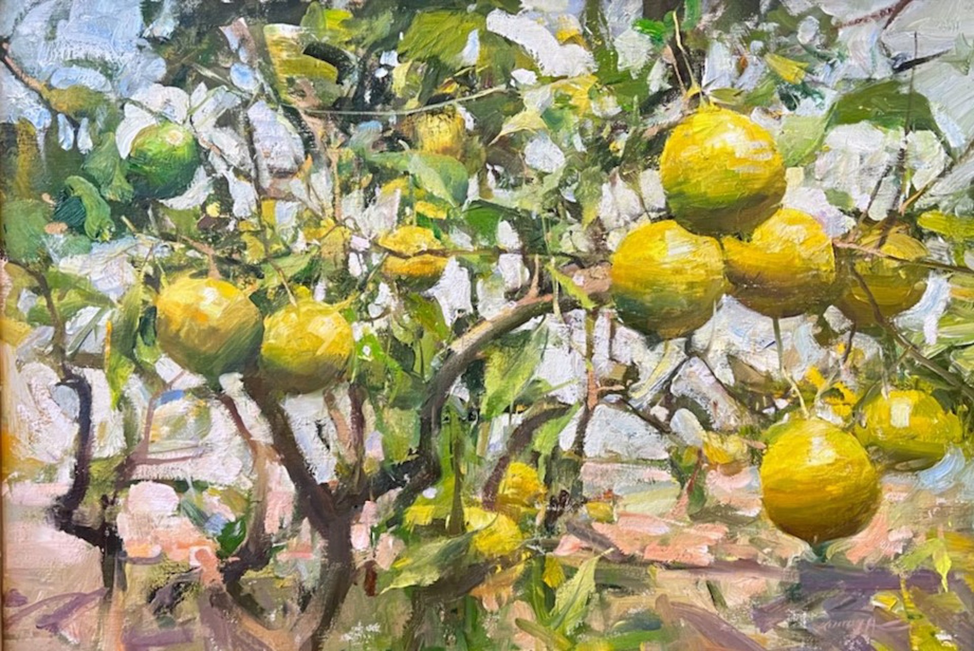 A painting of lemons hanging from a tree in a garden.