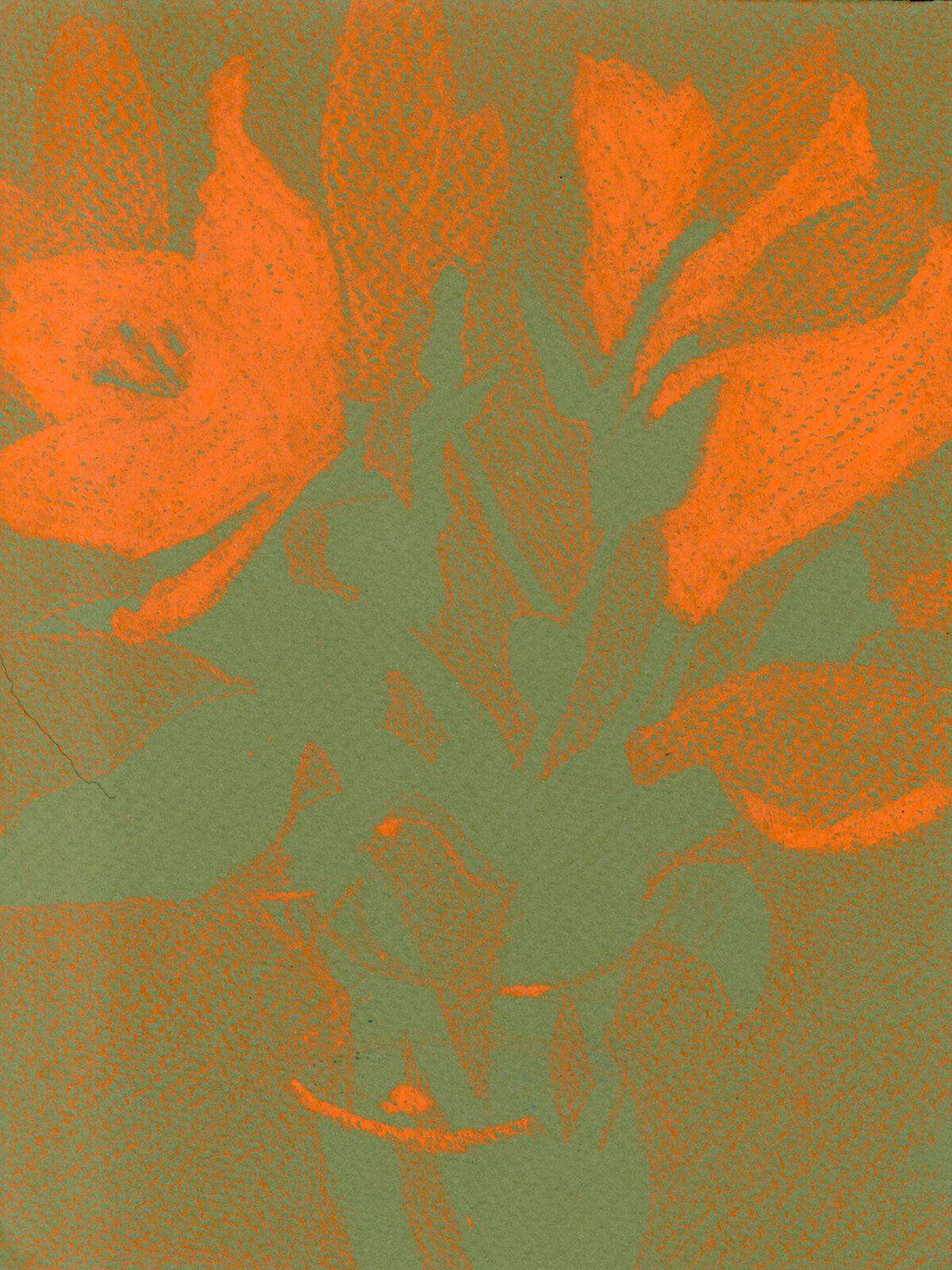 Lilies III (Sketch) by Rachel Burgess, 2022