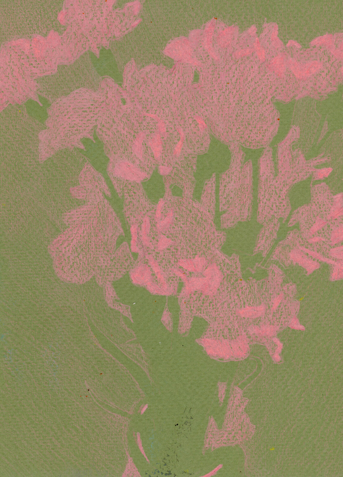 Artwork by Rachel Burgess, Pink Carnations (sketch), Made of Colored pencil on paper 