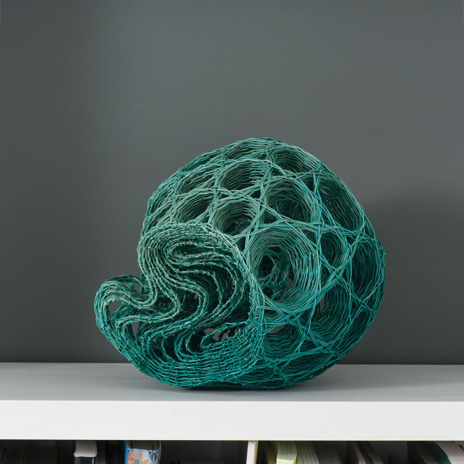 After Haekel II by Rachel Max , 2015