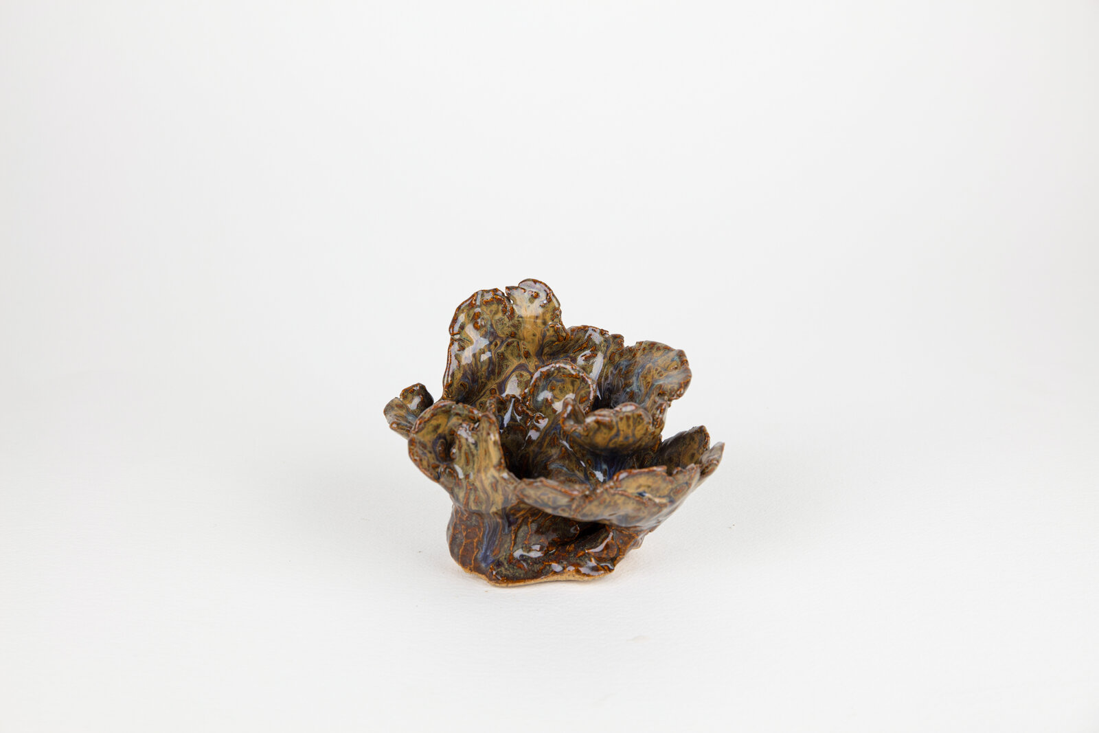 A small brown and black object on a white surface.