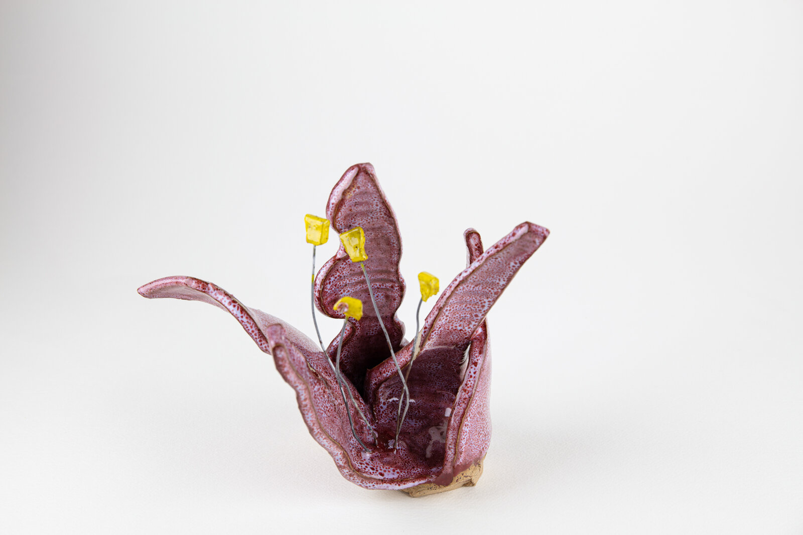 A purple vase with yellow flowers in it on a white surface.
