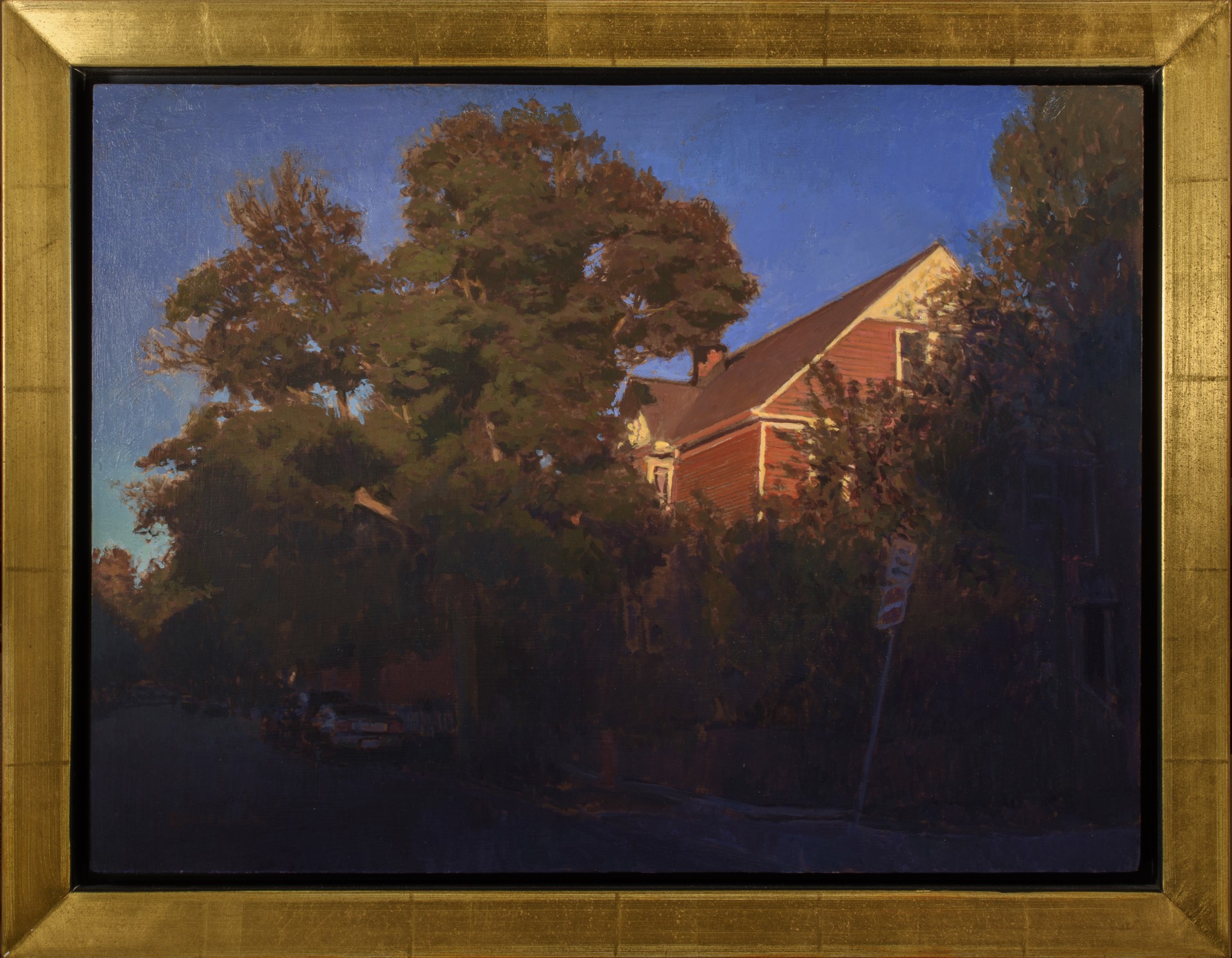 A quiet suburban street scene bathed in the warm, golden light of late afternoon.