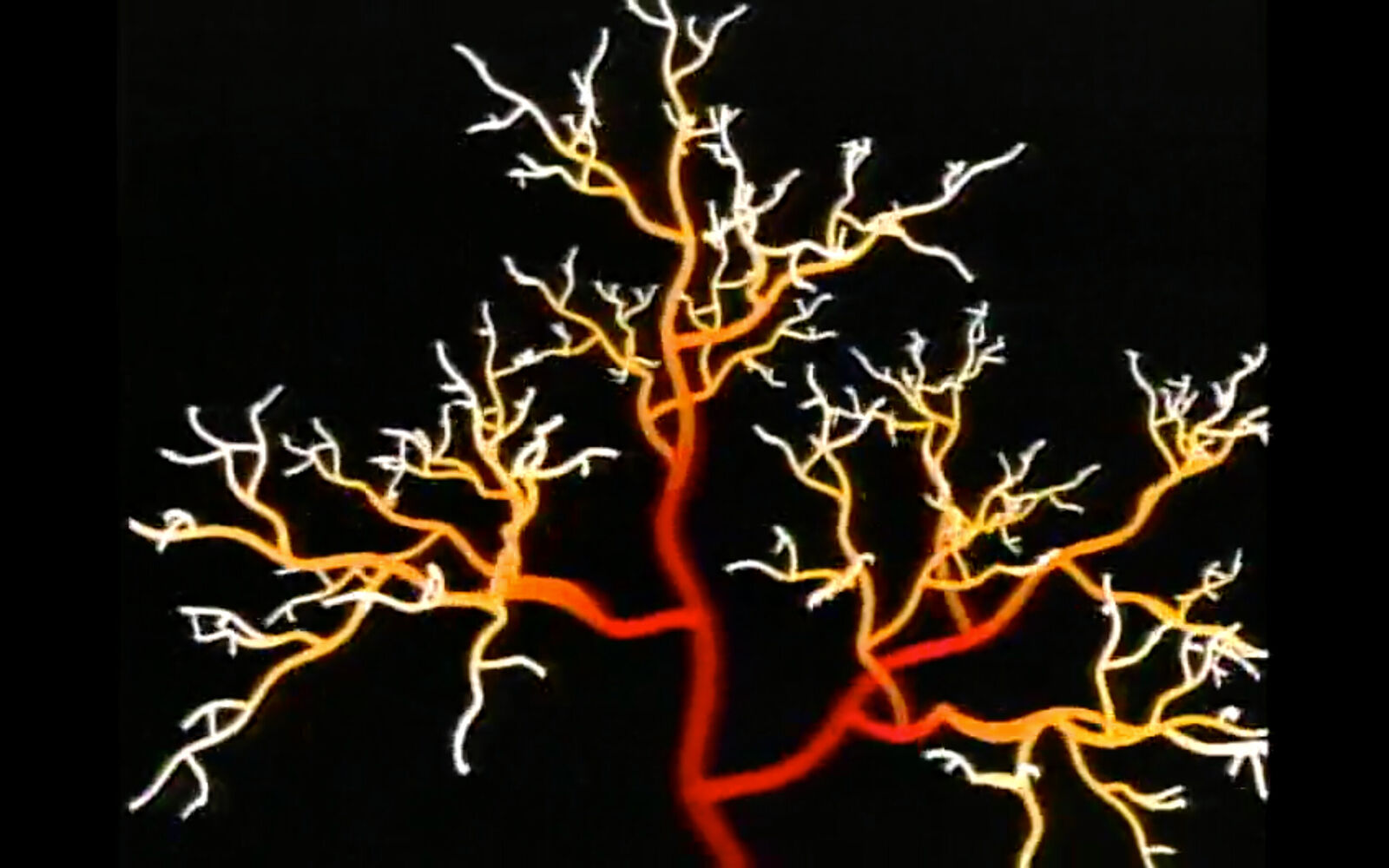 A tree that is lit up in the dark. 