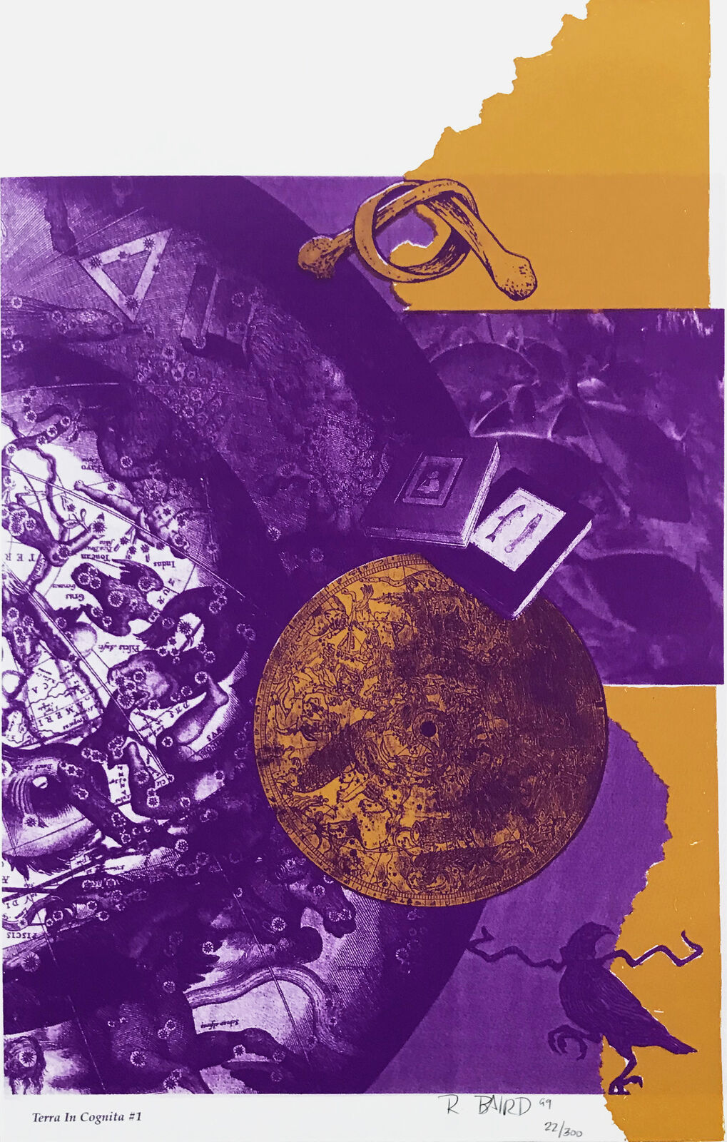 A purple and yellow poster with a picture of a bird on it.