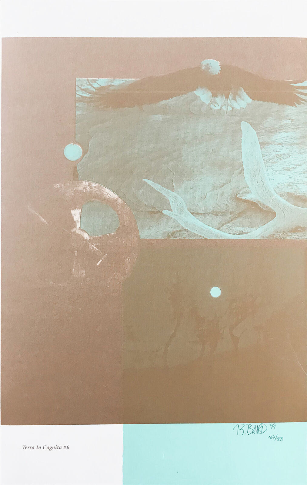 A layered collage featuring a bird, abstract shapes, and a textured background in muted earth tones.