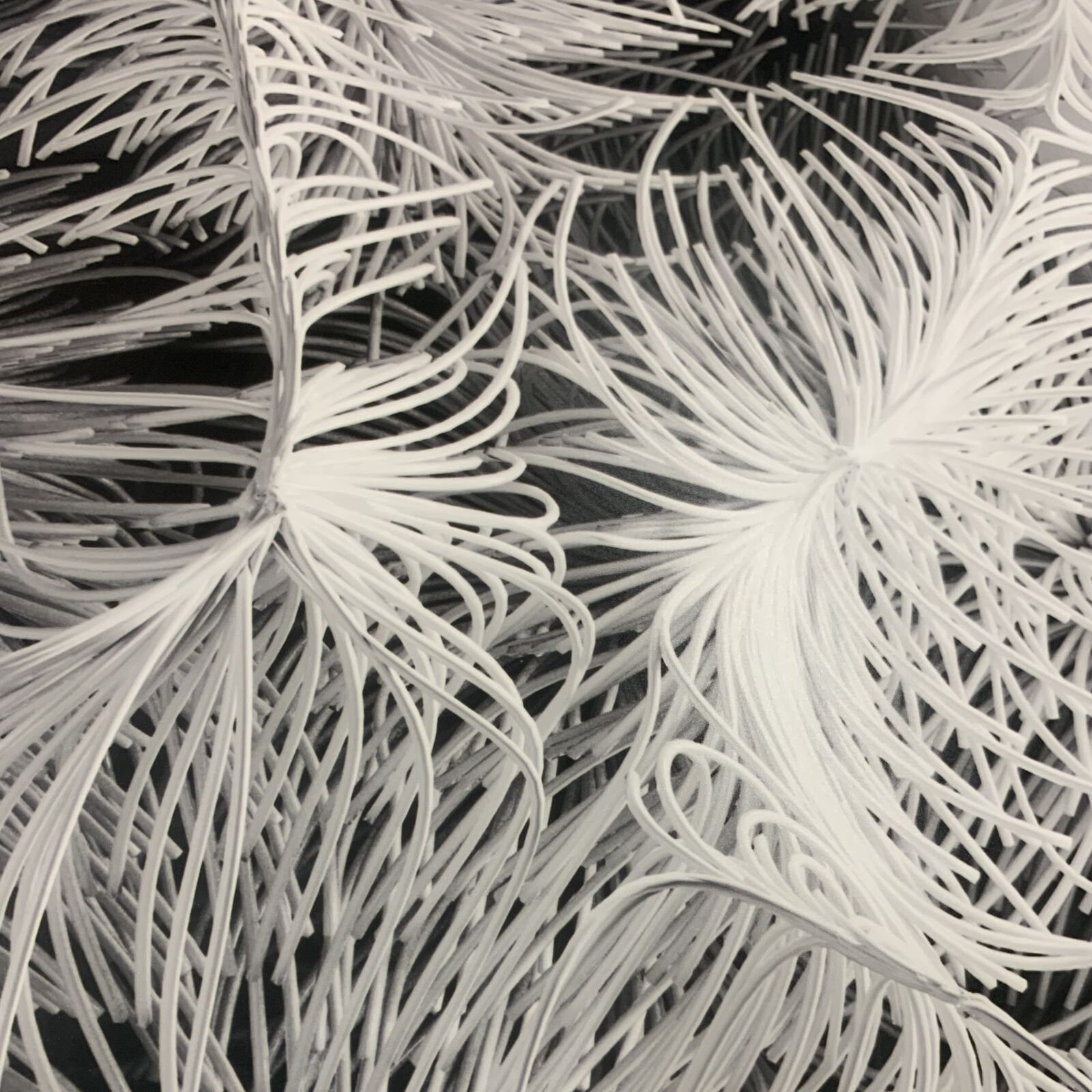 Artwork by Refik Anadol, Quantum Memories: Noise A, B, C, Made of C-Print 