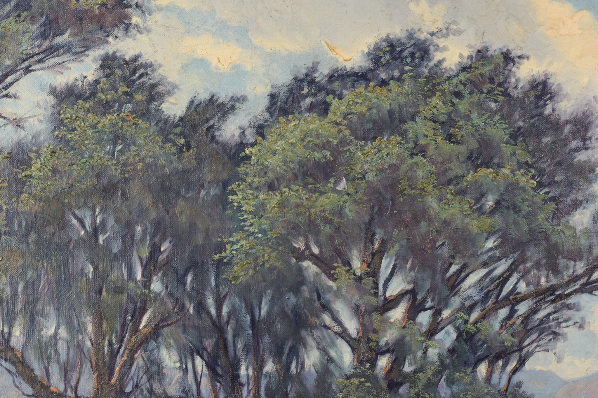 Artwork by Ricard Tárrega Viladoms, Viejos Olivos, Made of Oil on canvas 
