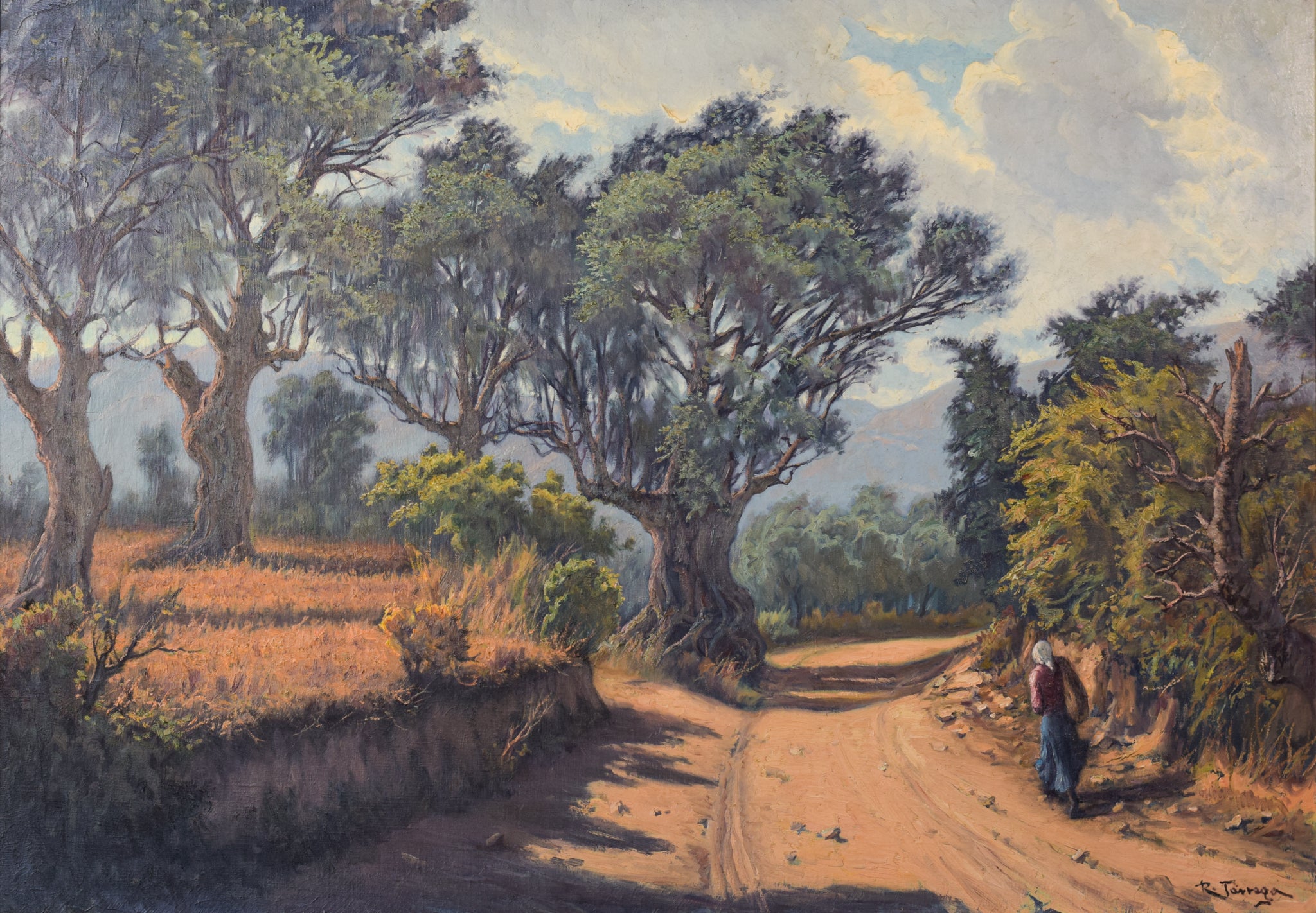 Viejos Olivos by Ricard Tárrega Viladoms, 1978