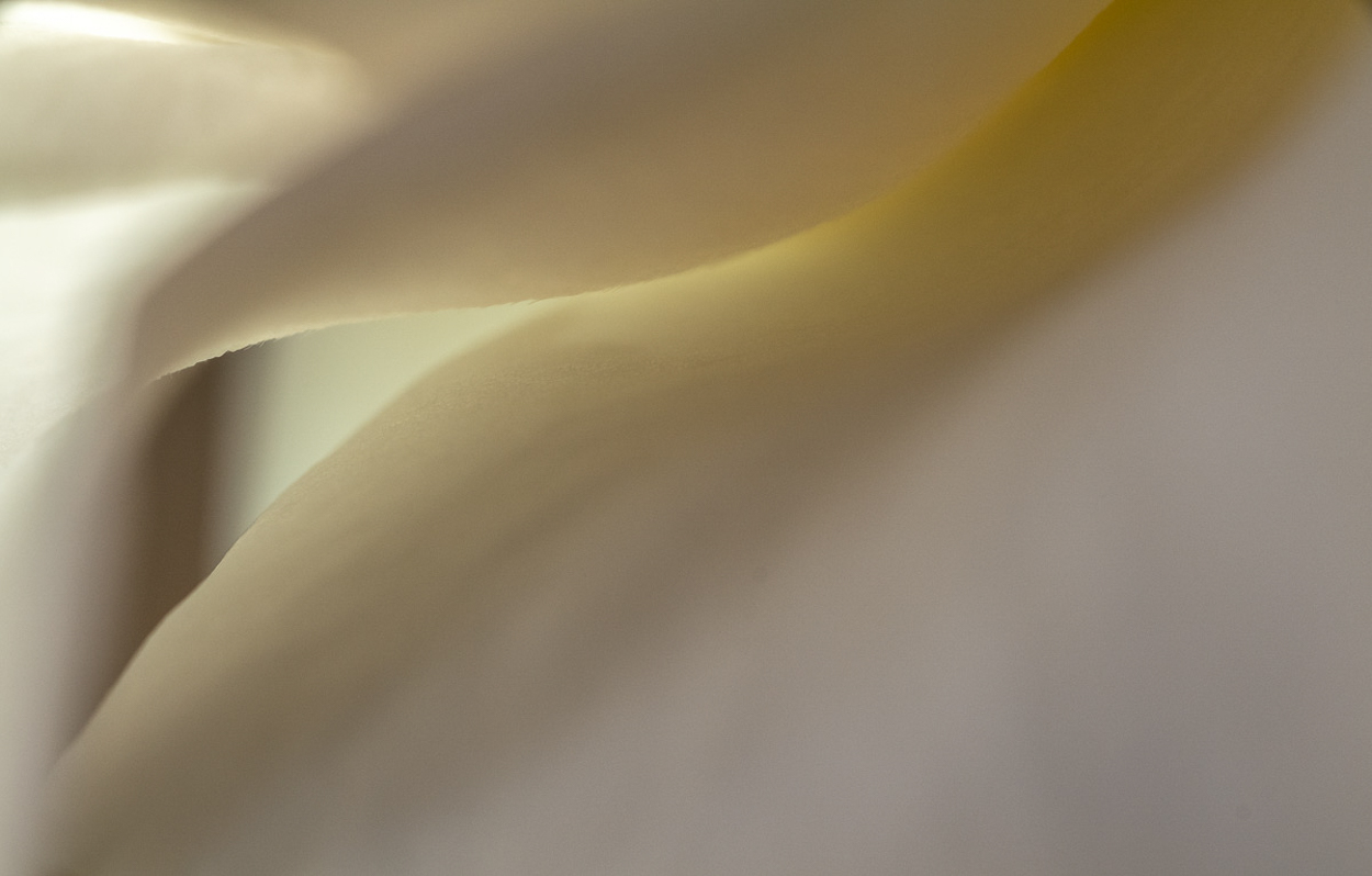 Analogous Textures #11 by Richard Konecky, 2020