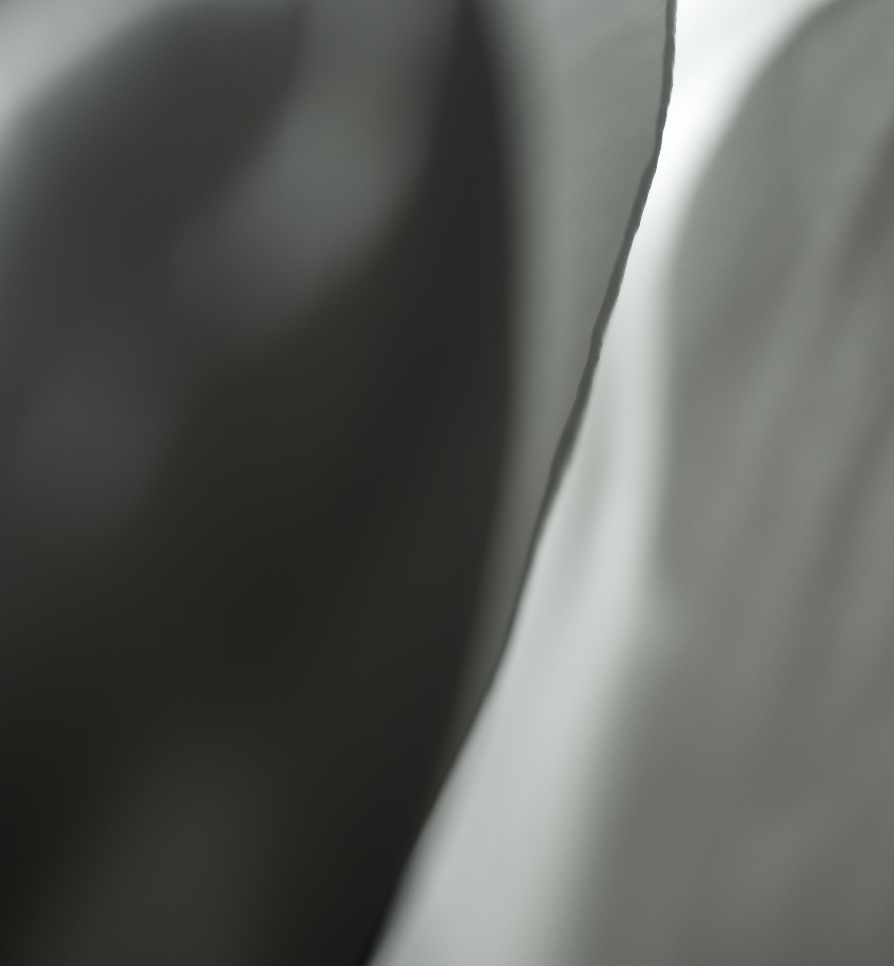 Tulips #37 by Richard Konecky, 2020