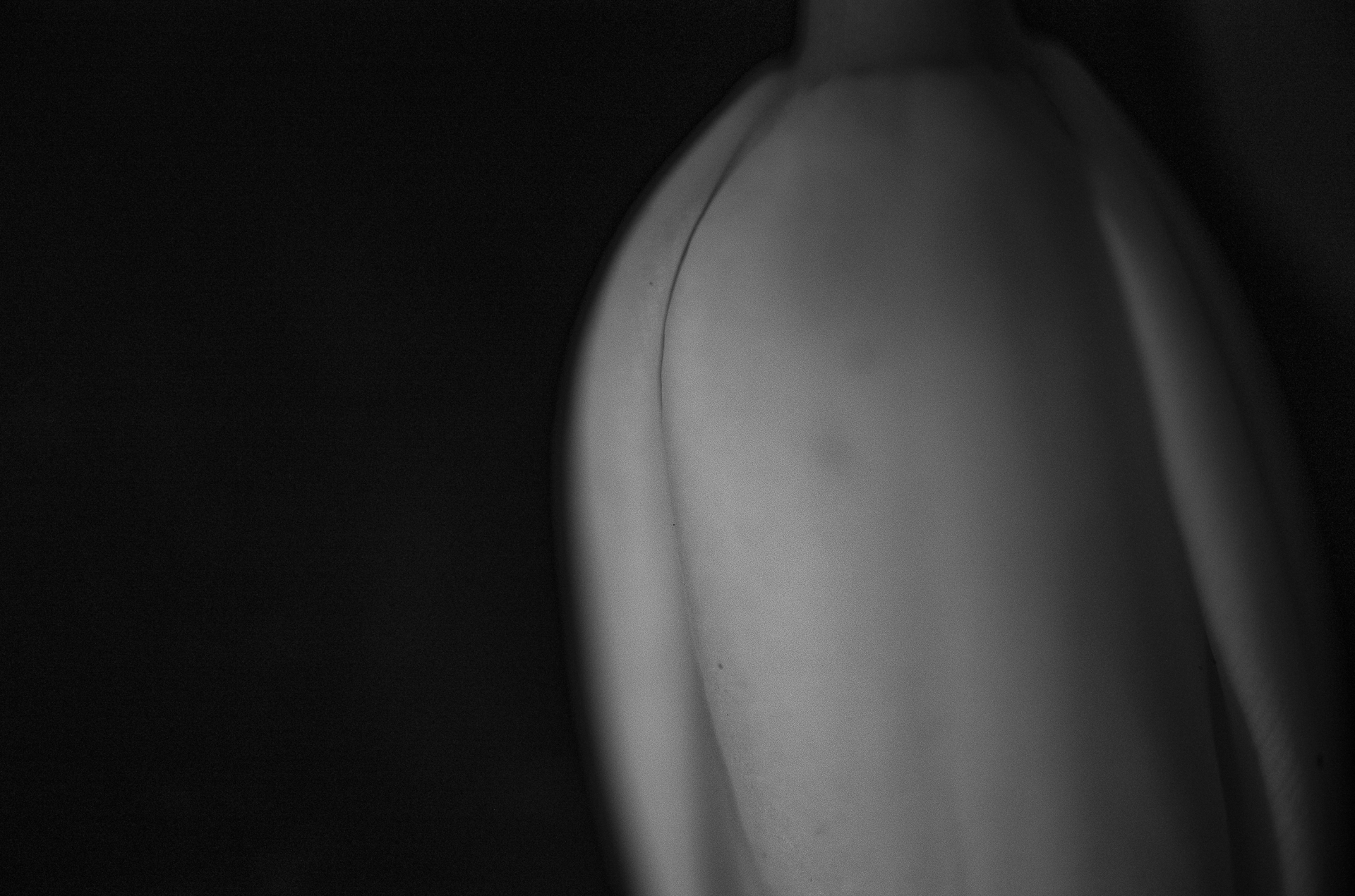 Artwork by Richard Konecky, Tulips #60, Made of Pigment Print 