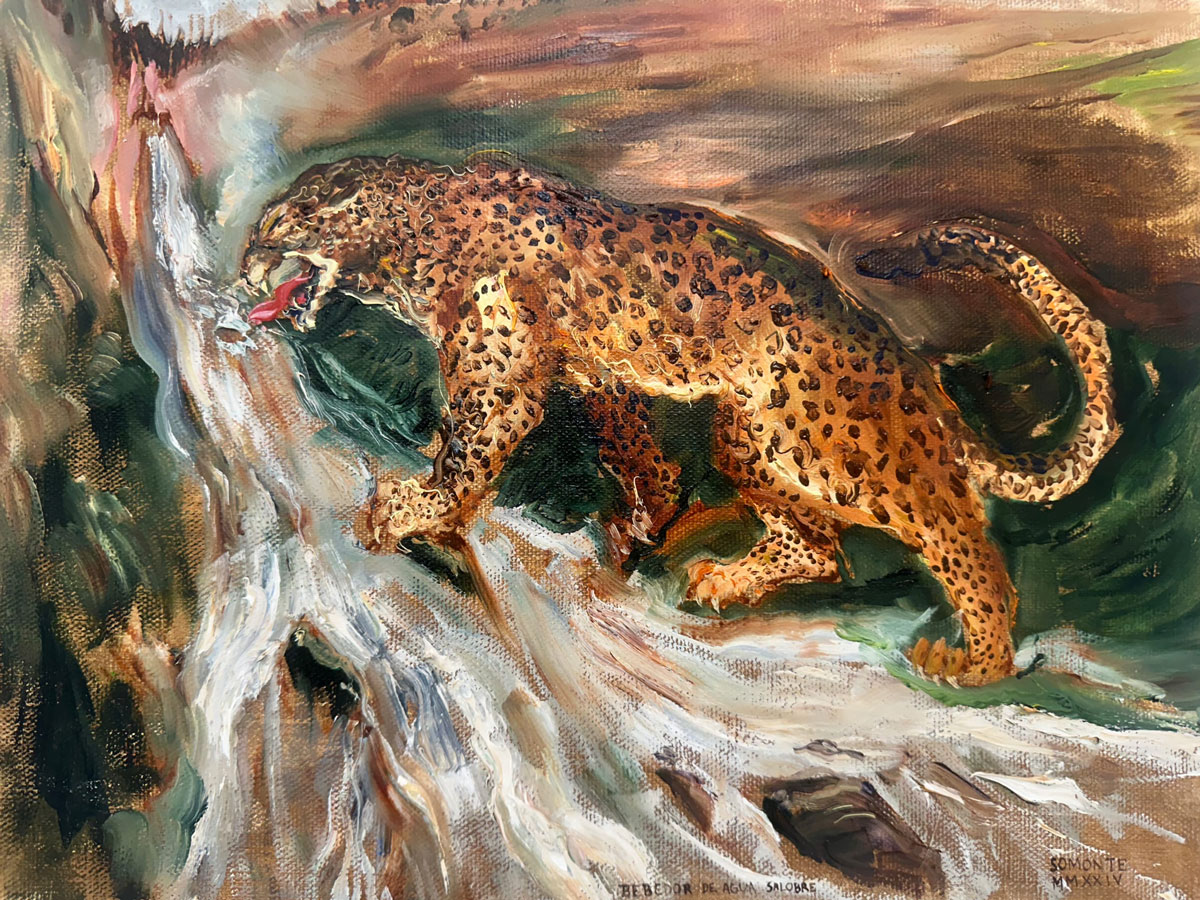 Leopardo en la fuente