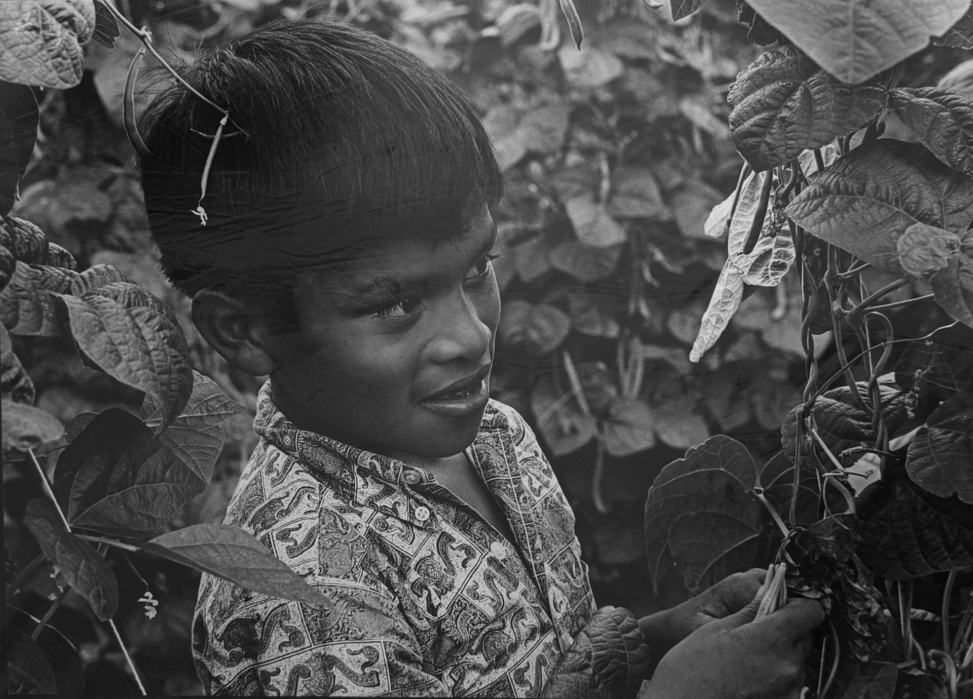 A black and white photo of a young boy in a garden.