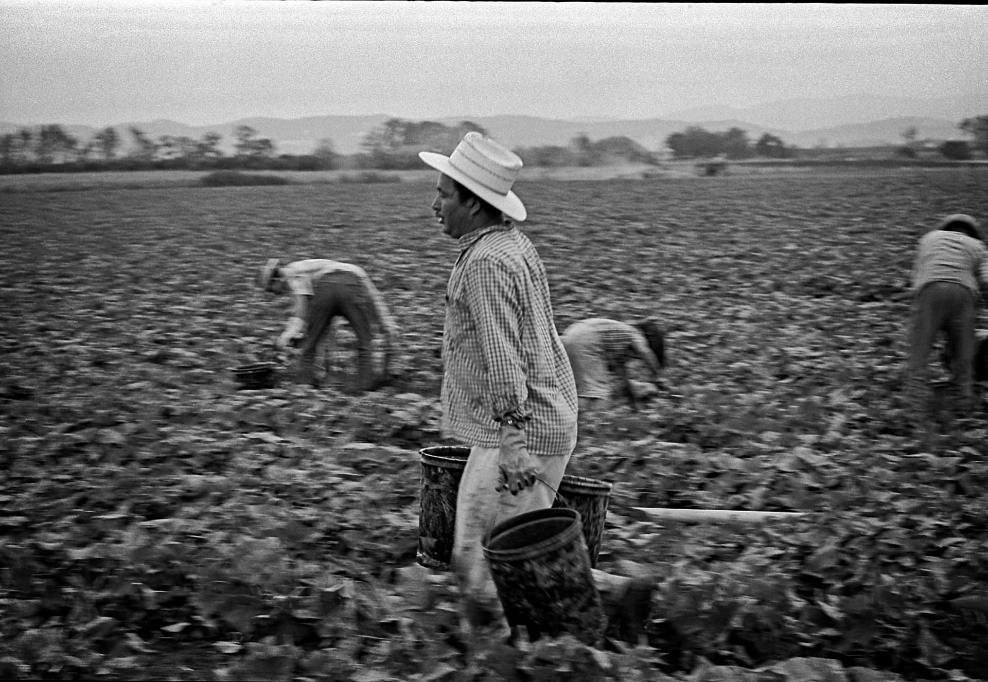 Weight of the Land by Richard Stefani, 1965