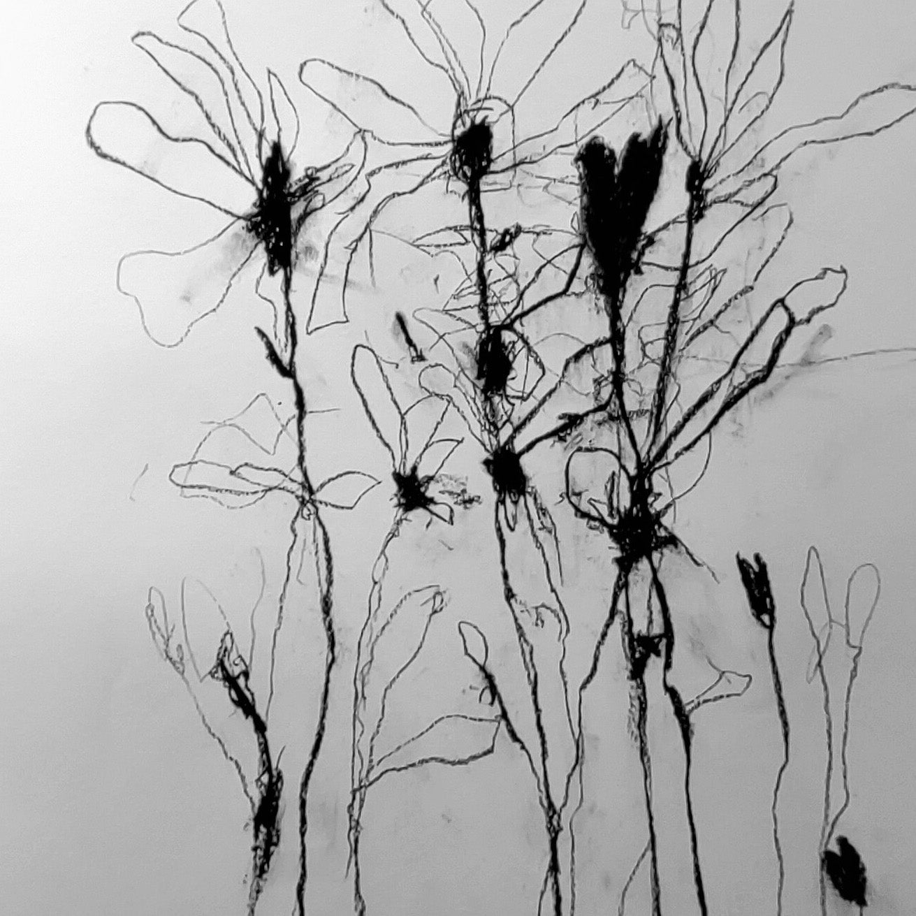 Artwork by Robert Baribeau, In the weeds ink bloom #1, Made of Charcoal & Oil stick on paper 